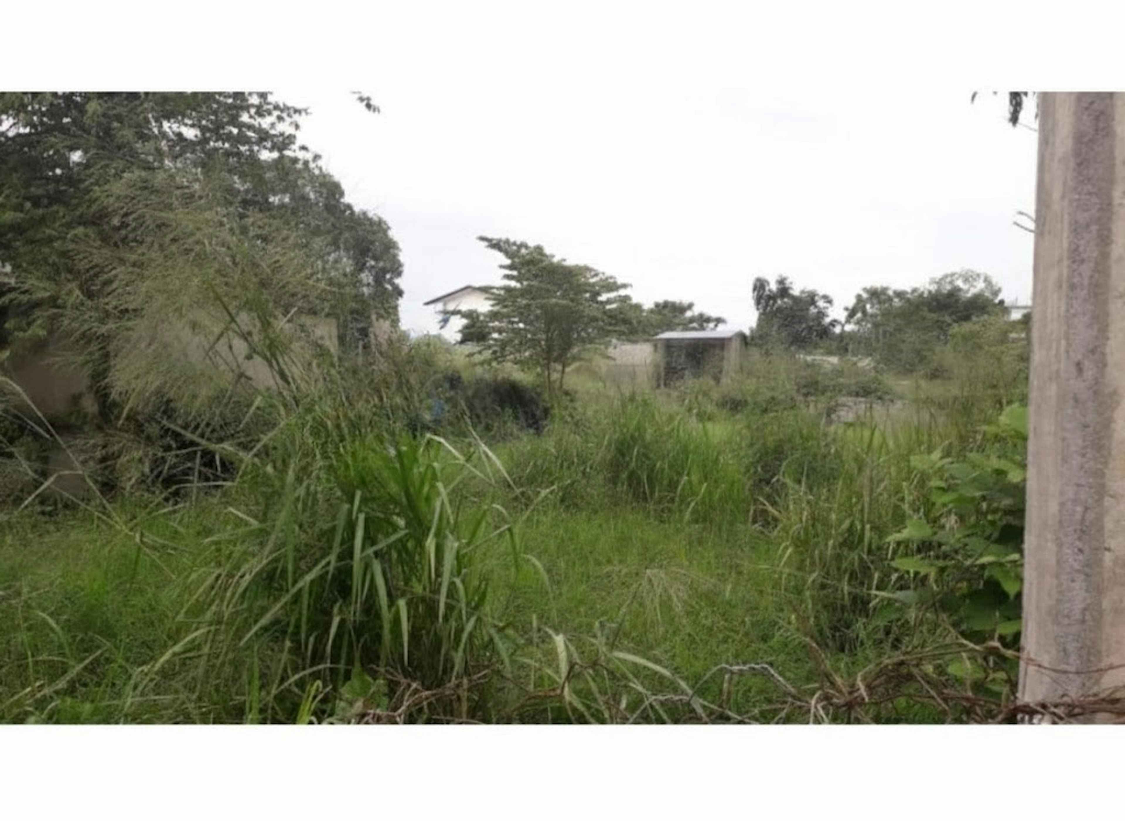 Terreno En Venta En Mexicana Miguel Alemán, Tuxpan, Veracruz De Ignacio De La Llave