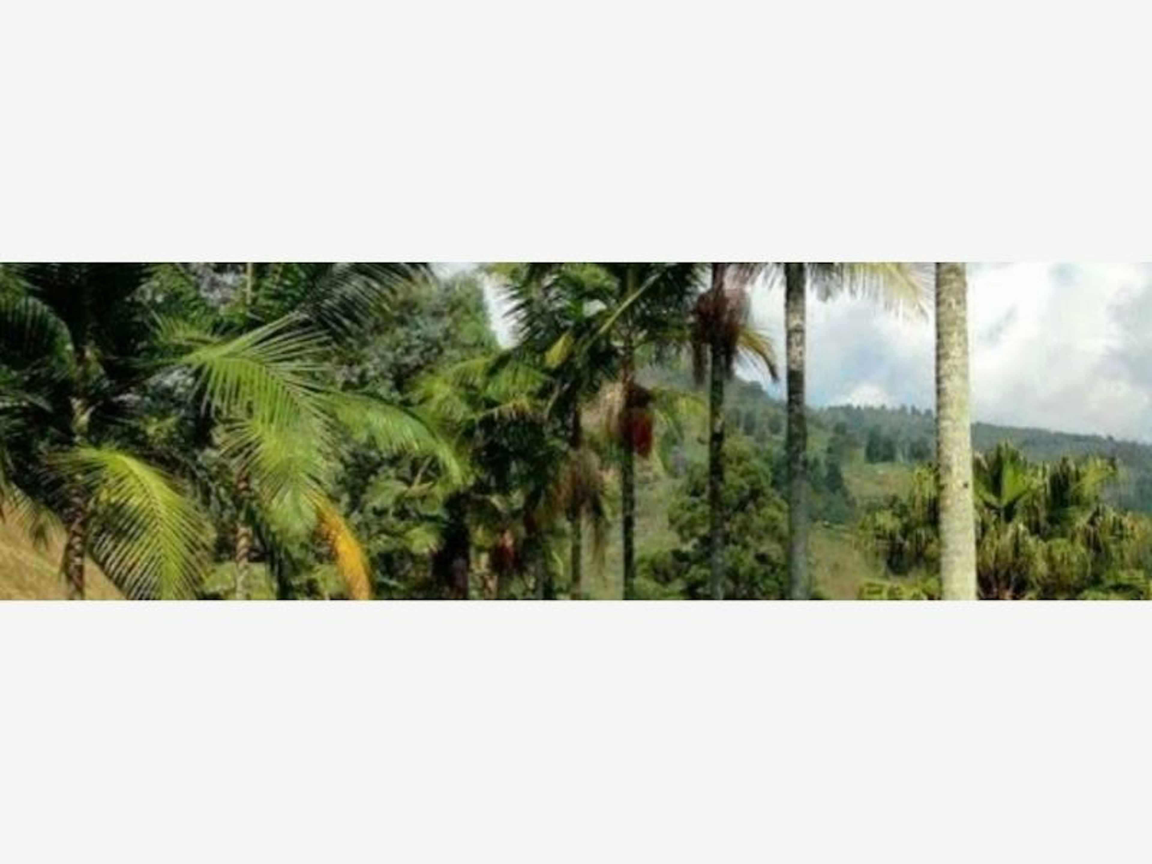 Terreno En Venta En Tecuanillo, Tecomán, Colima