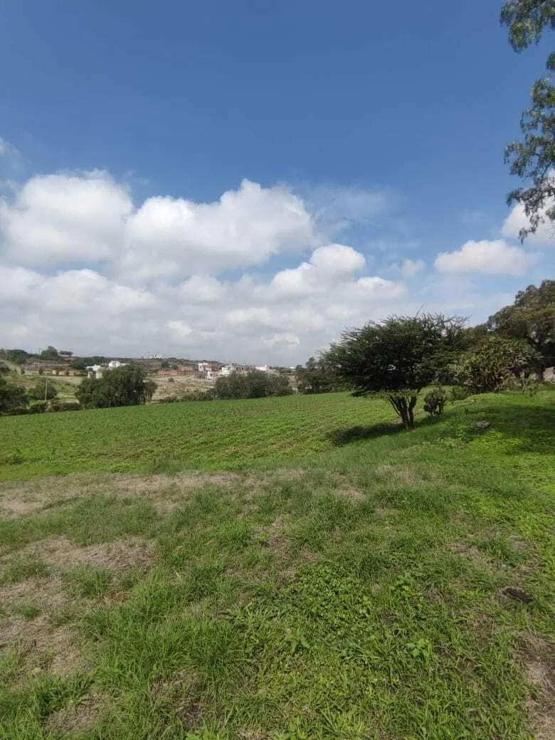 Terreno Spot2