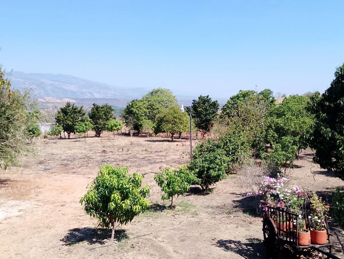 Terreno Spot2