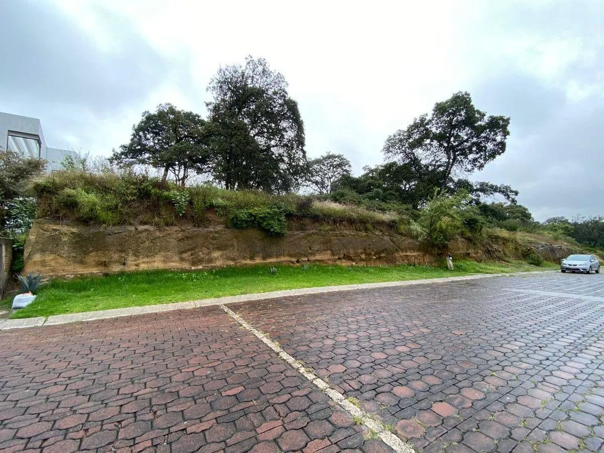 Terreno Spot2
