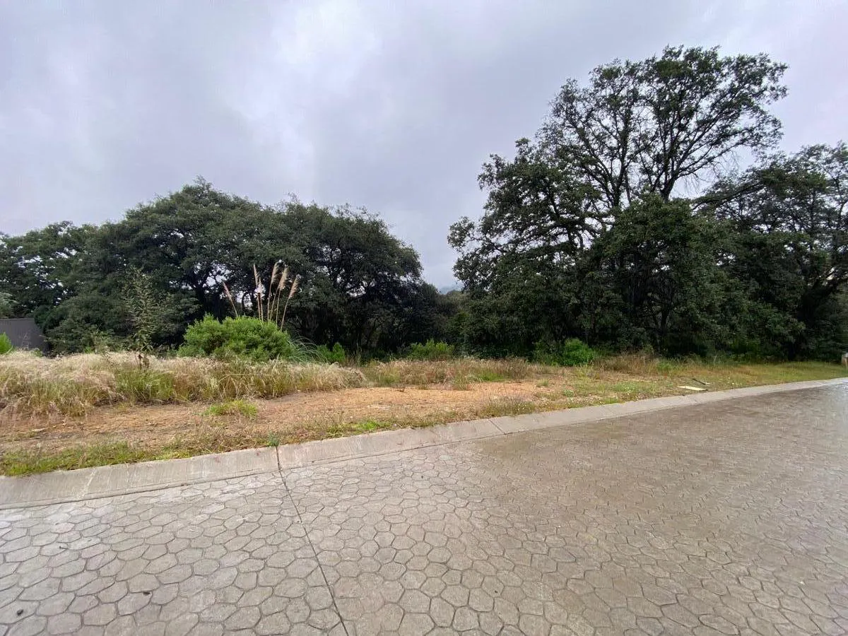 Terreno Spot2