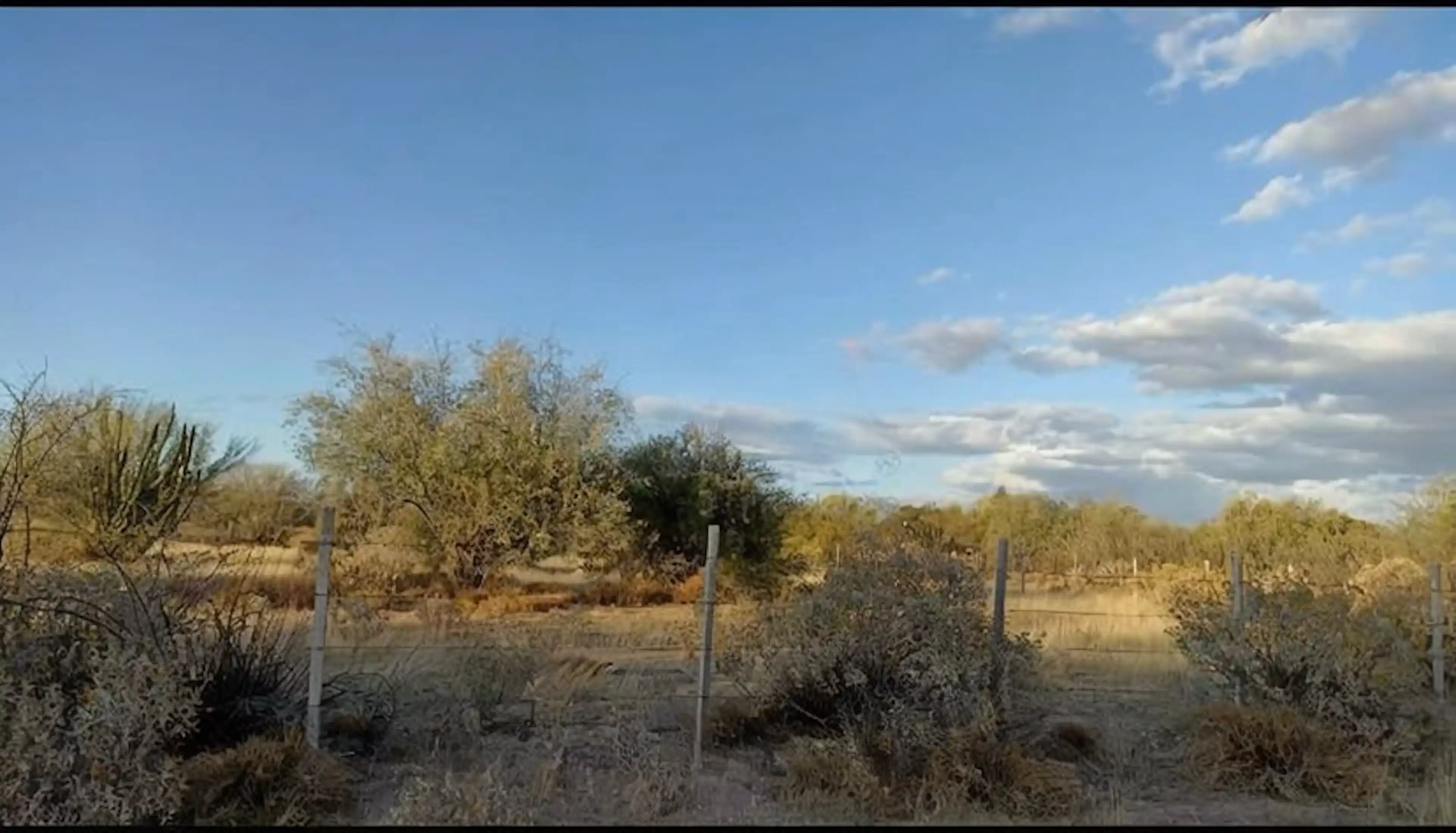 TERRENO EN VENTA REAL DEL ALAMITO SECCION ARBOLEDAS