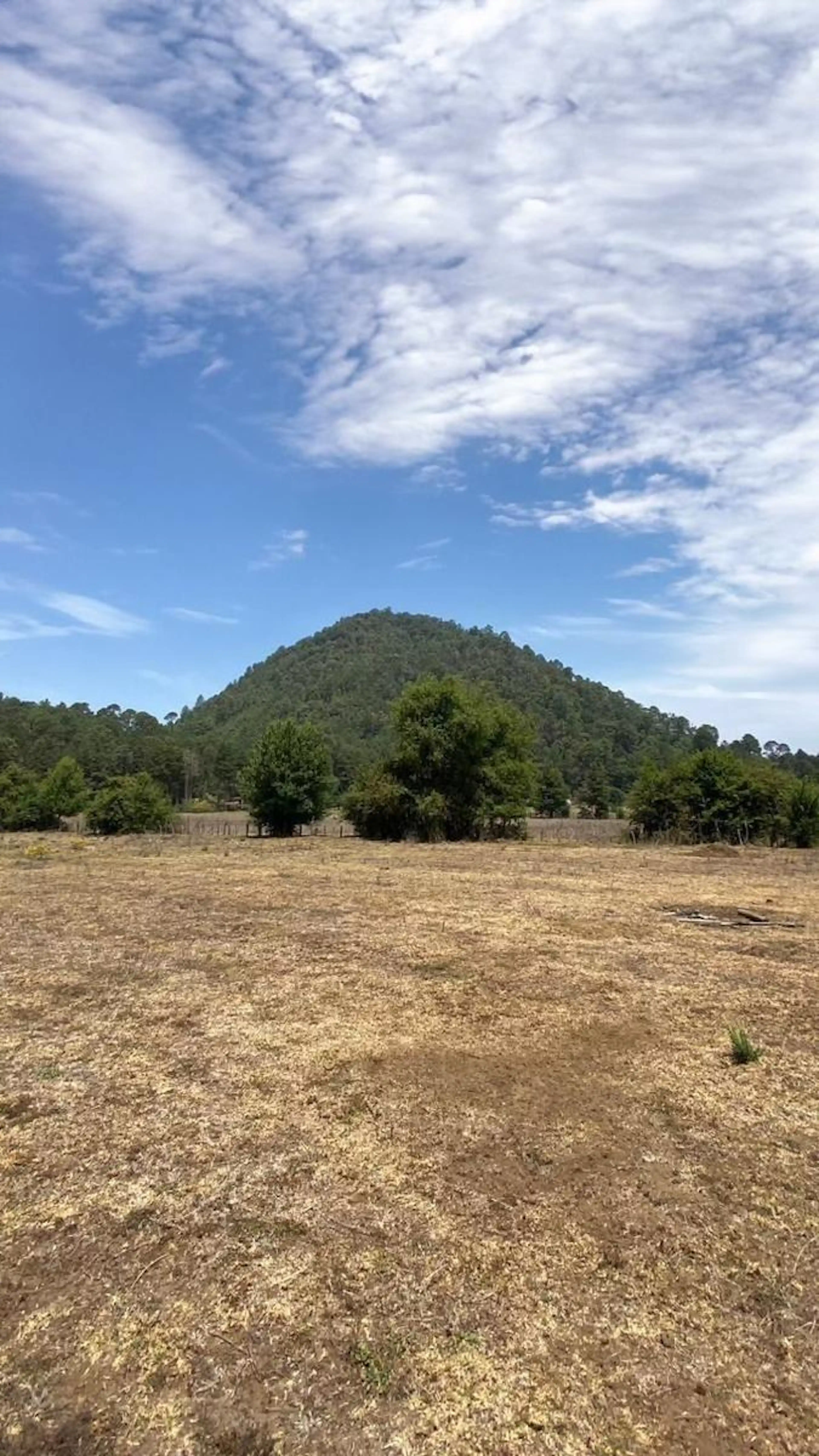 Terreno plano con vista al bosque en Cerro Gordo