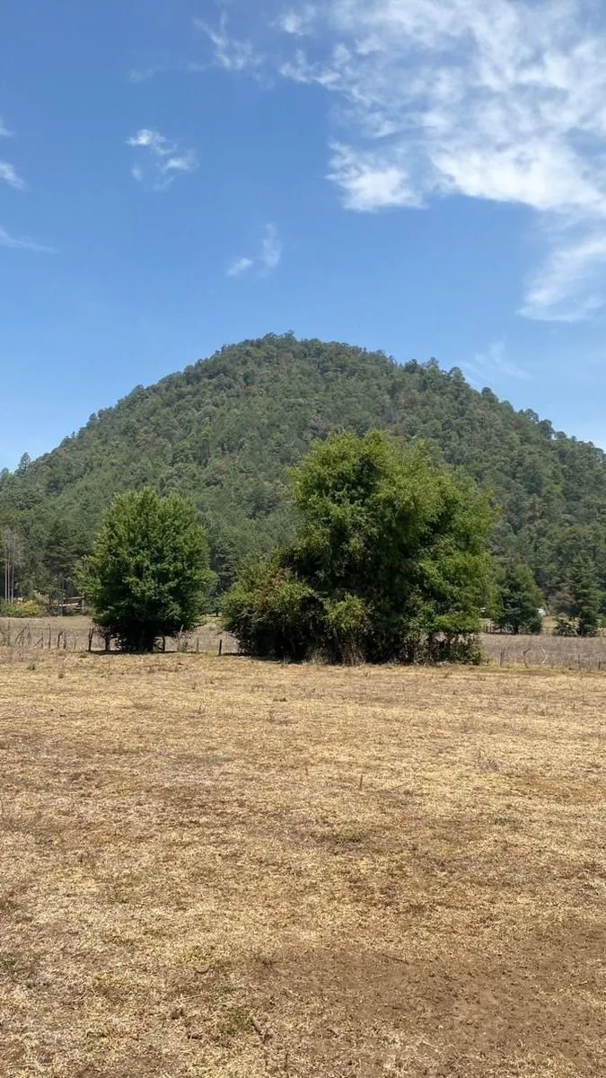 Terreno Spot2