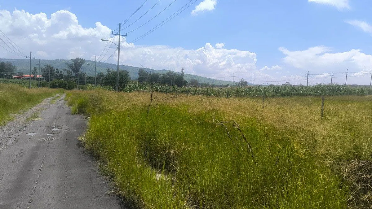 Terreno Spot2