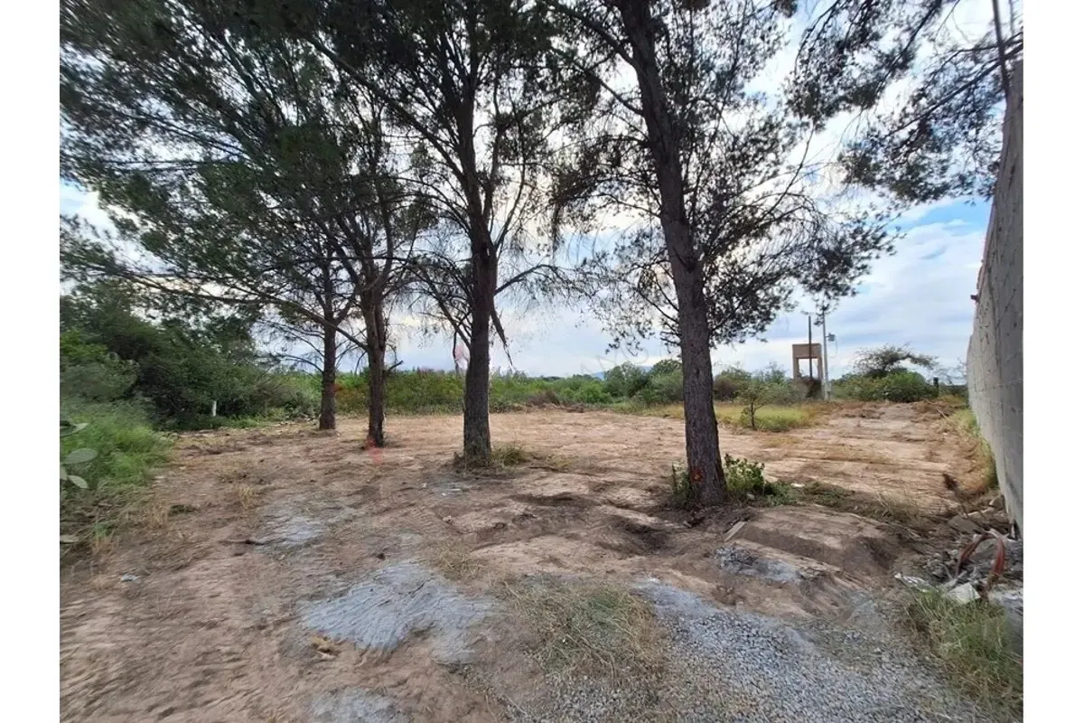 Terreno Spot2