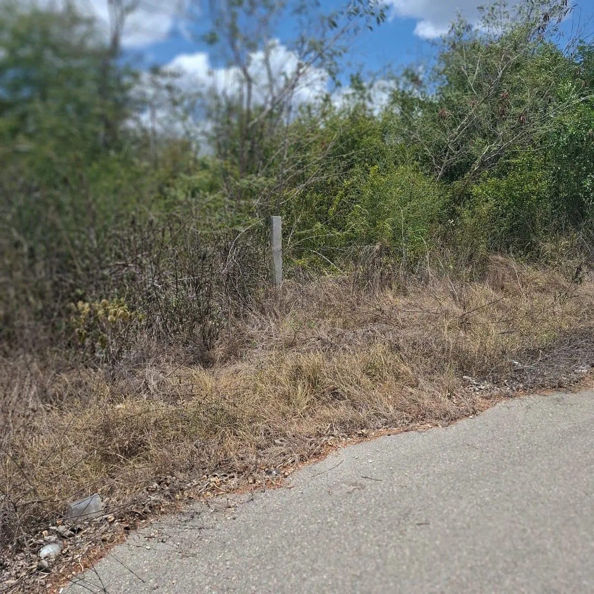 Terreno Spot2