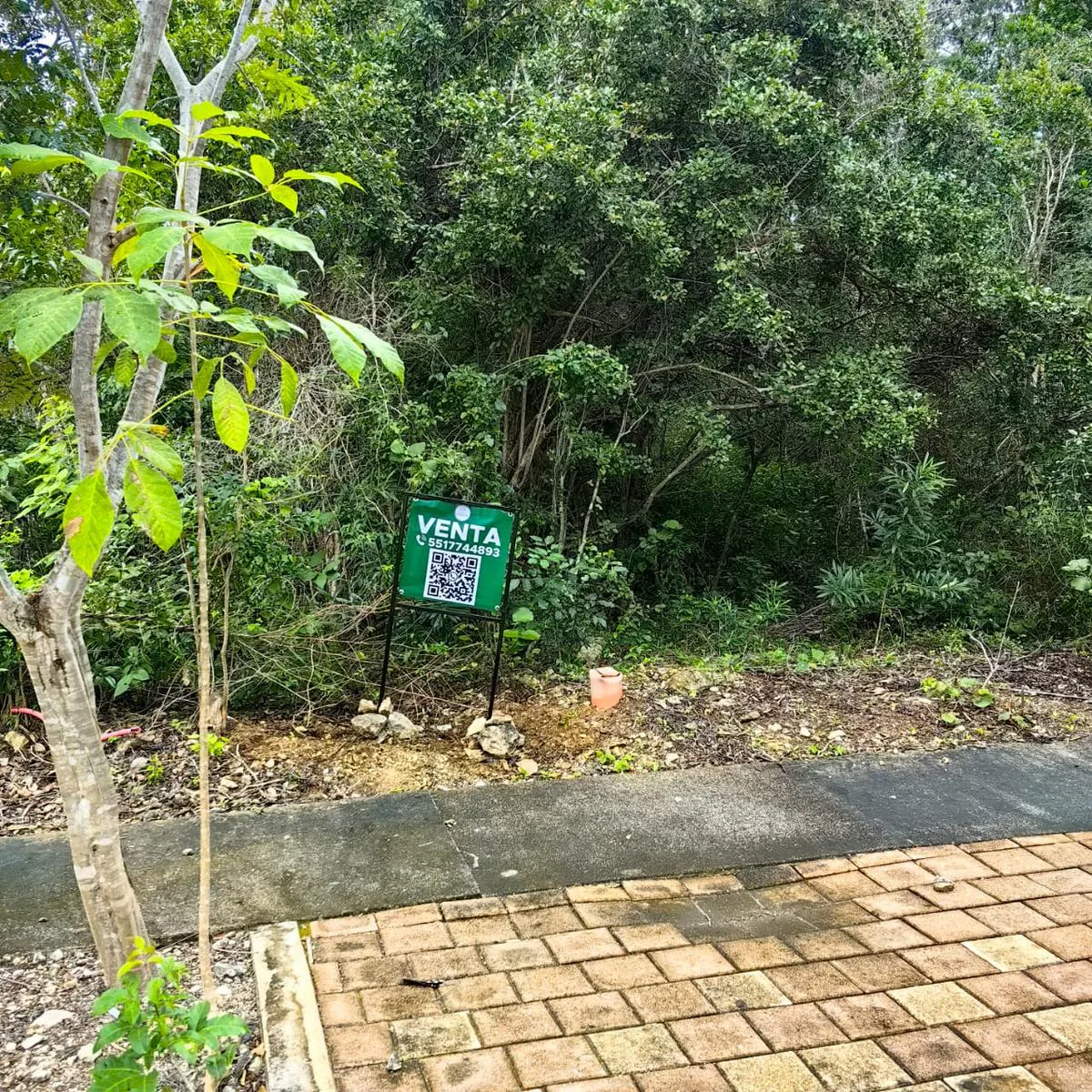 Terreno Spot2