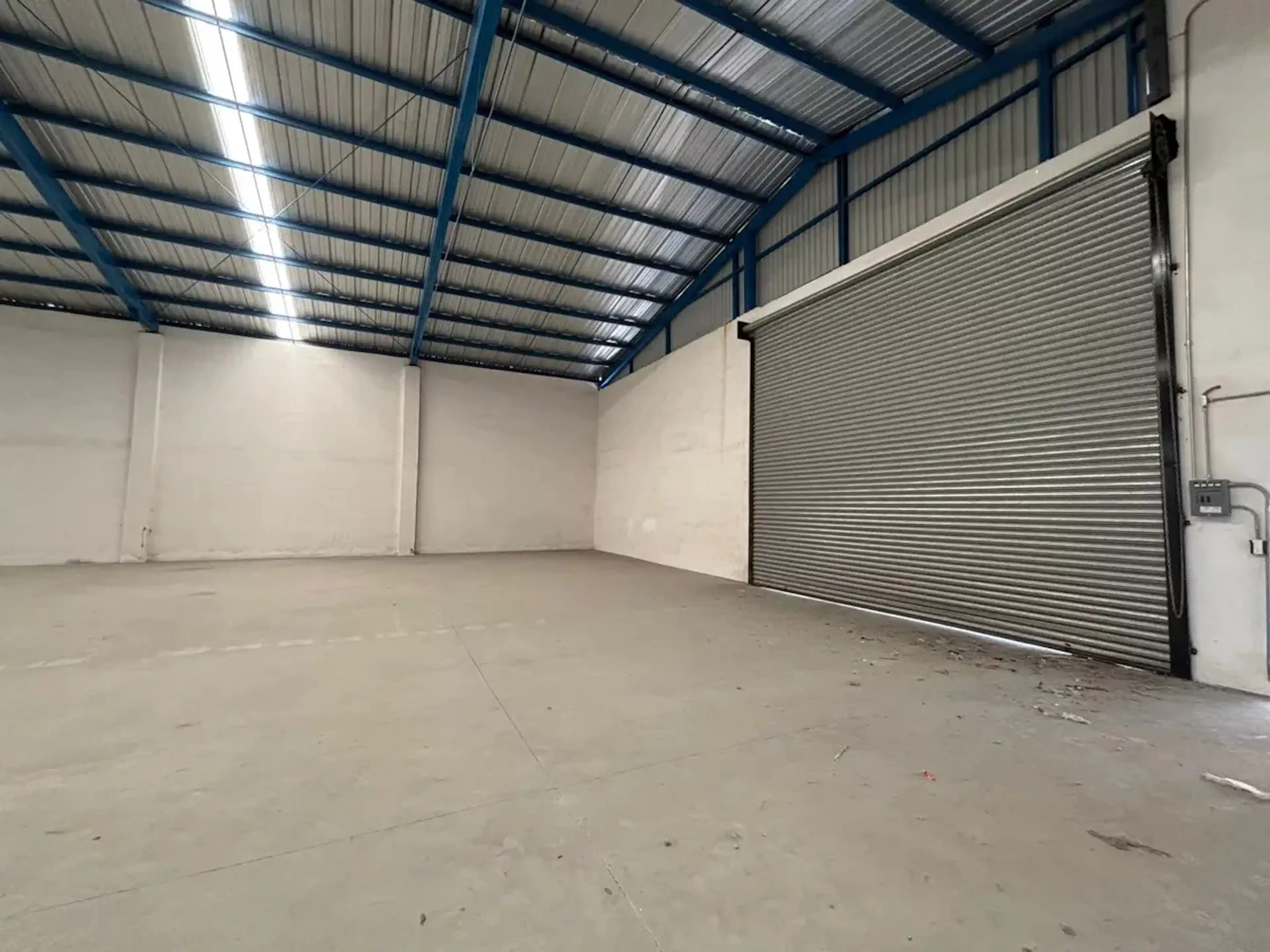 Bodega 7