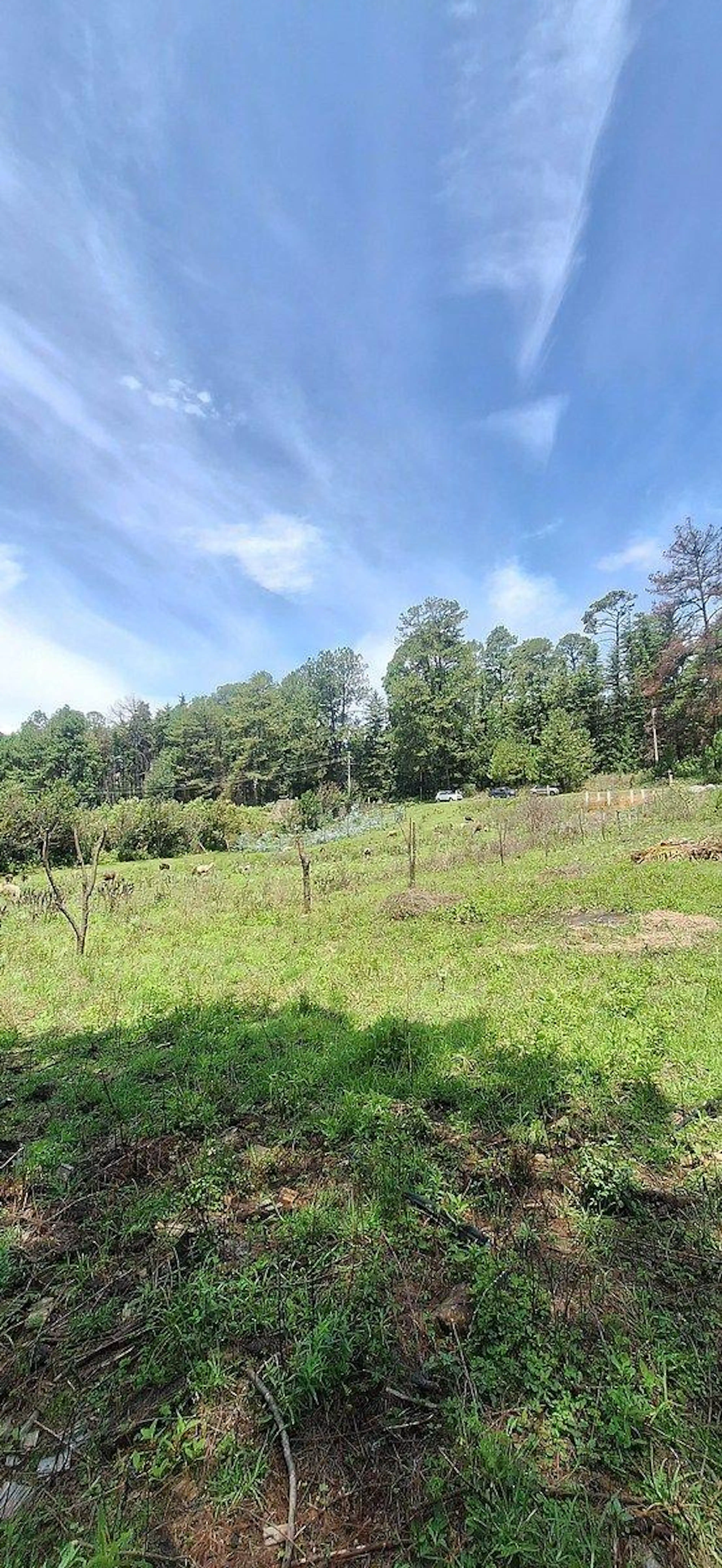Oportunidad, hermoso terreno cerca de la pista