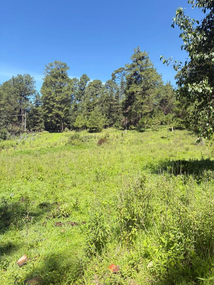 Terreno Spot2