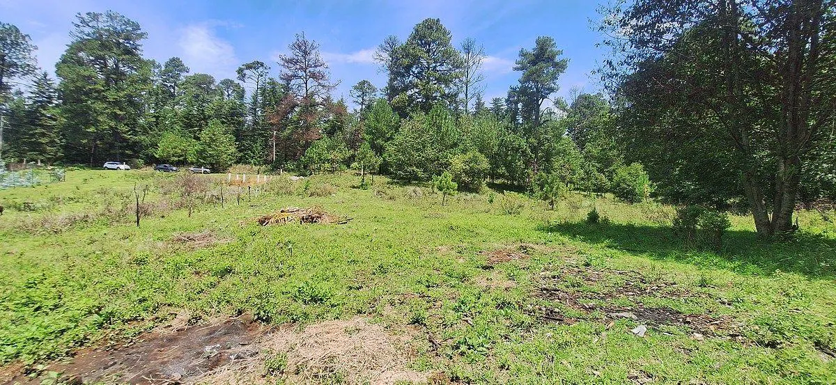 Terreno Spot2