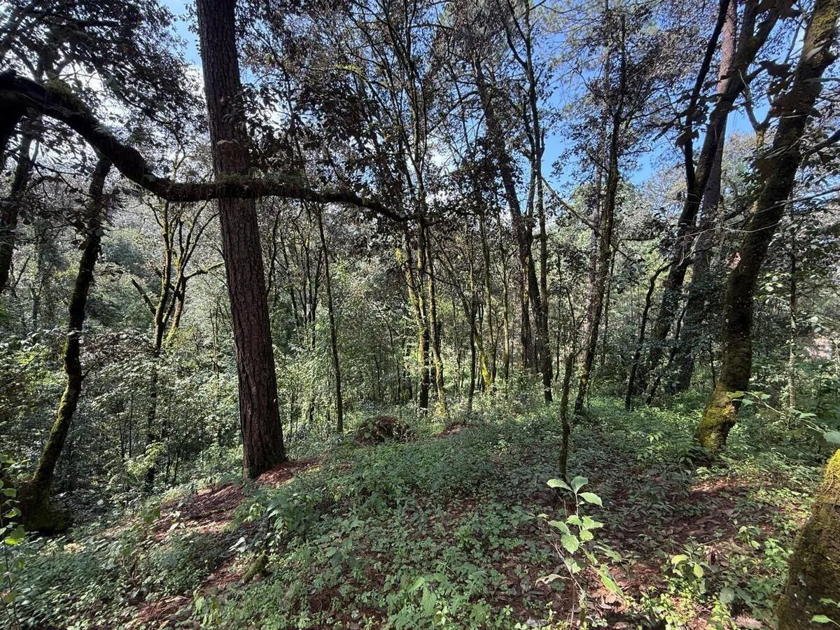 Terreno Spot2