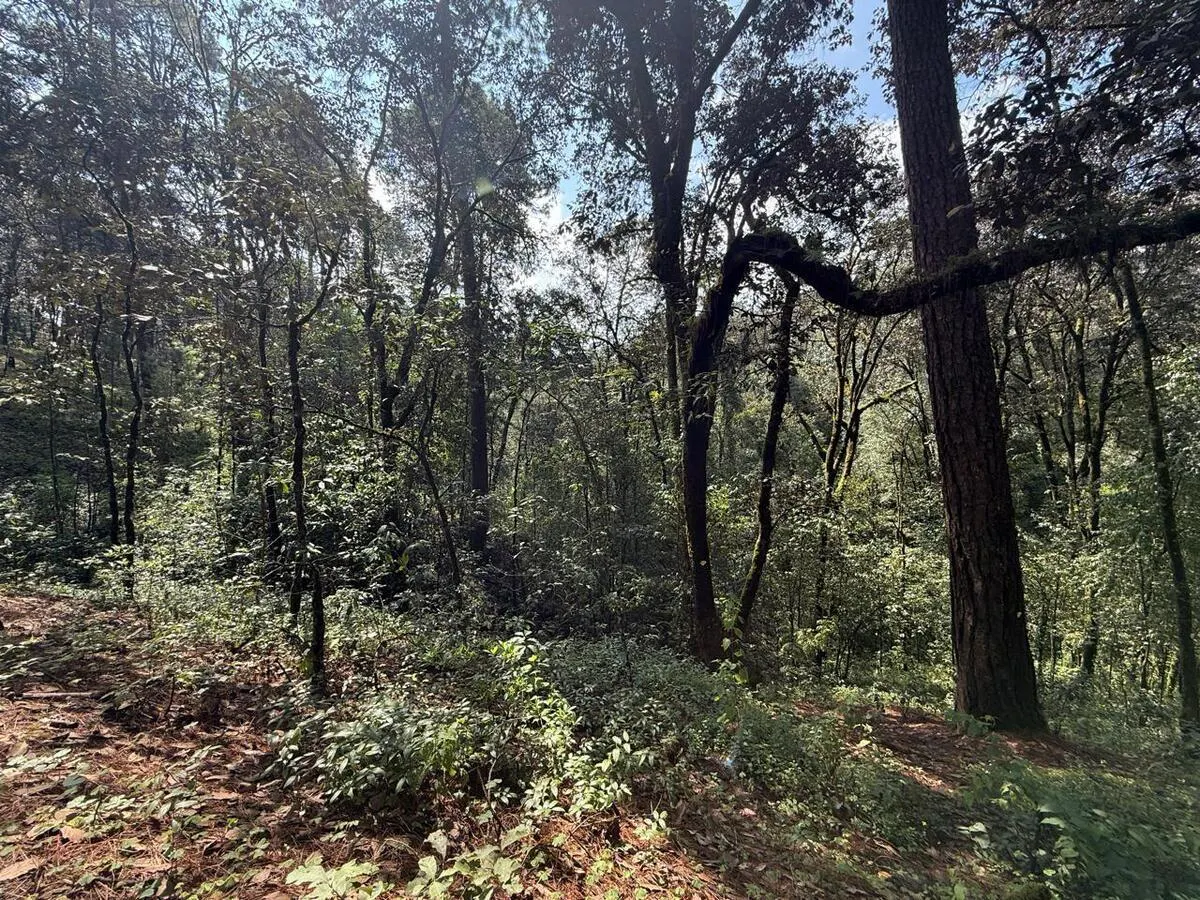 Terreno Spot2