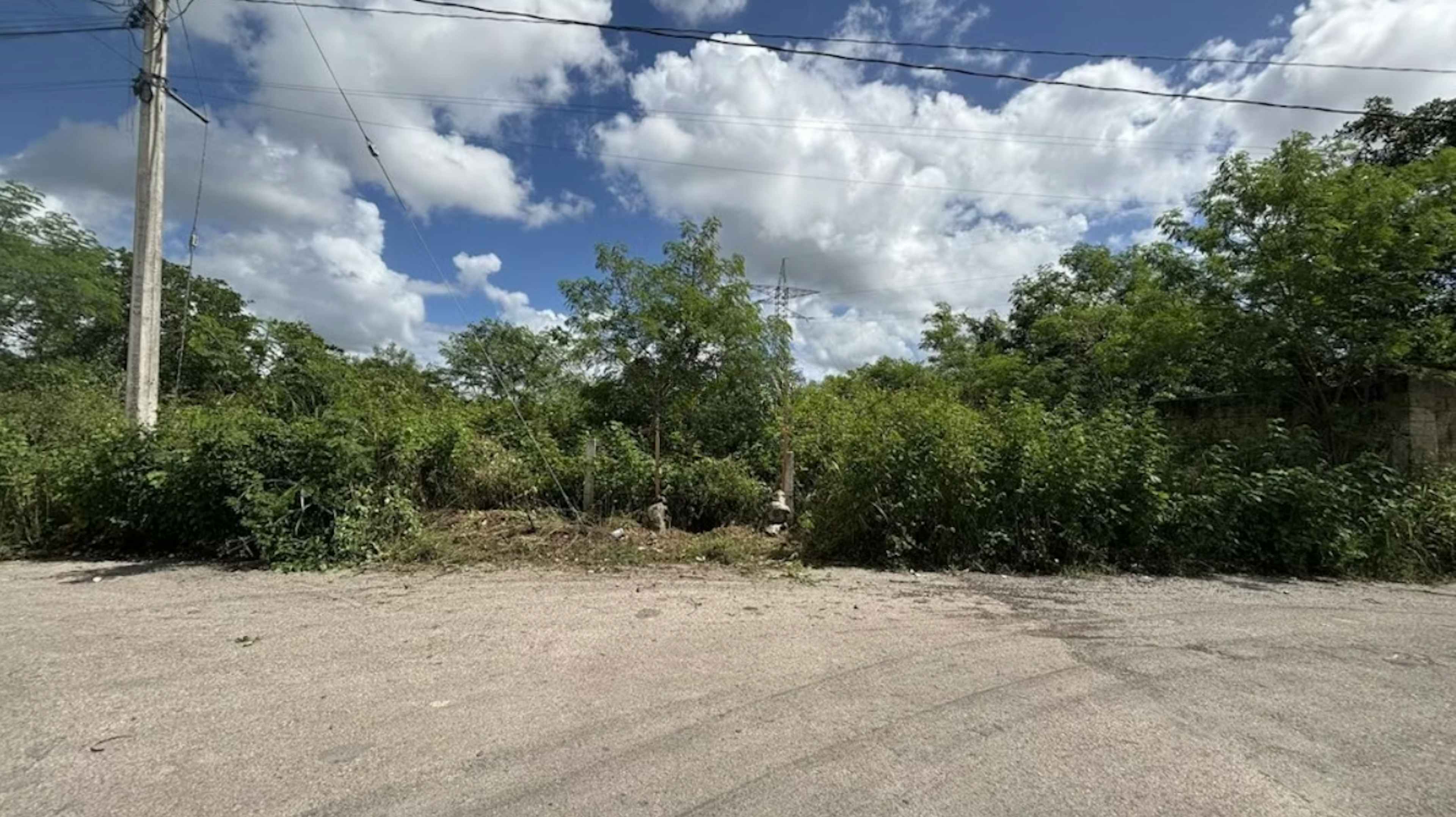 Avenida Temozon None