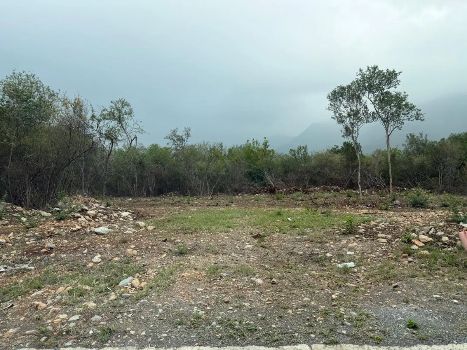 Terreno Spot2