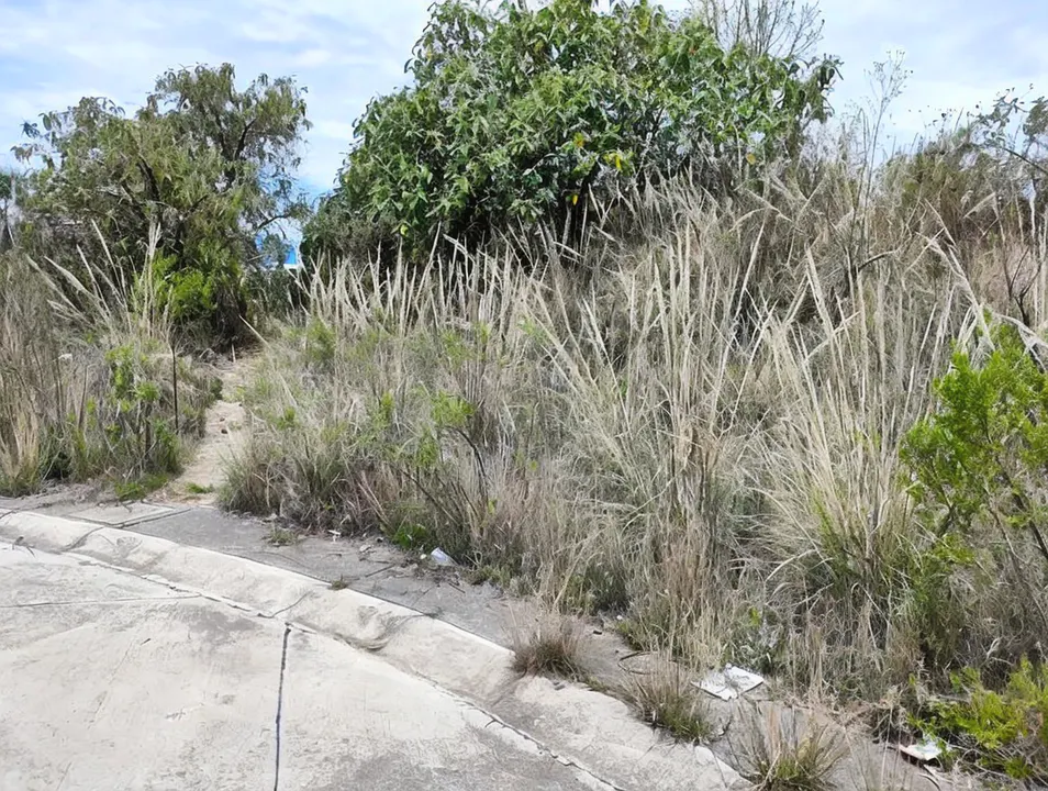 Terreno Spot2