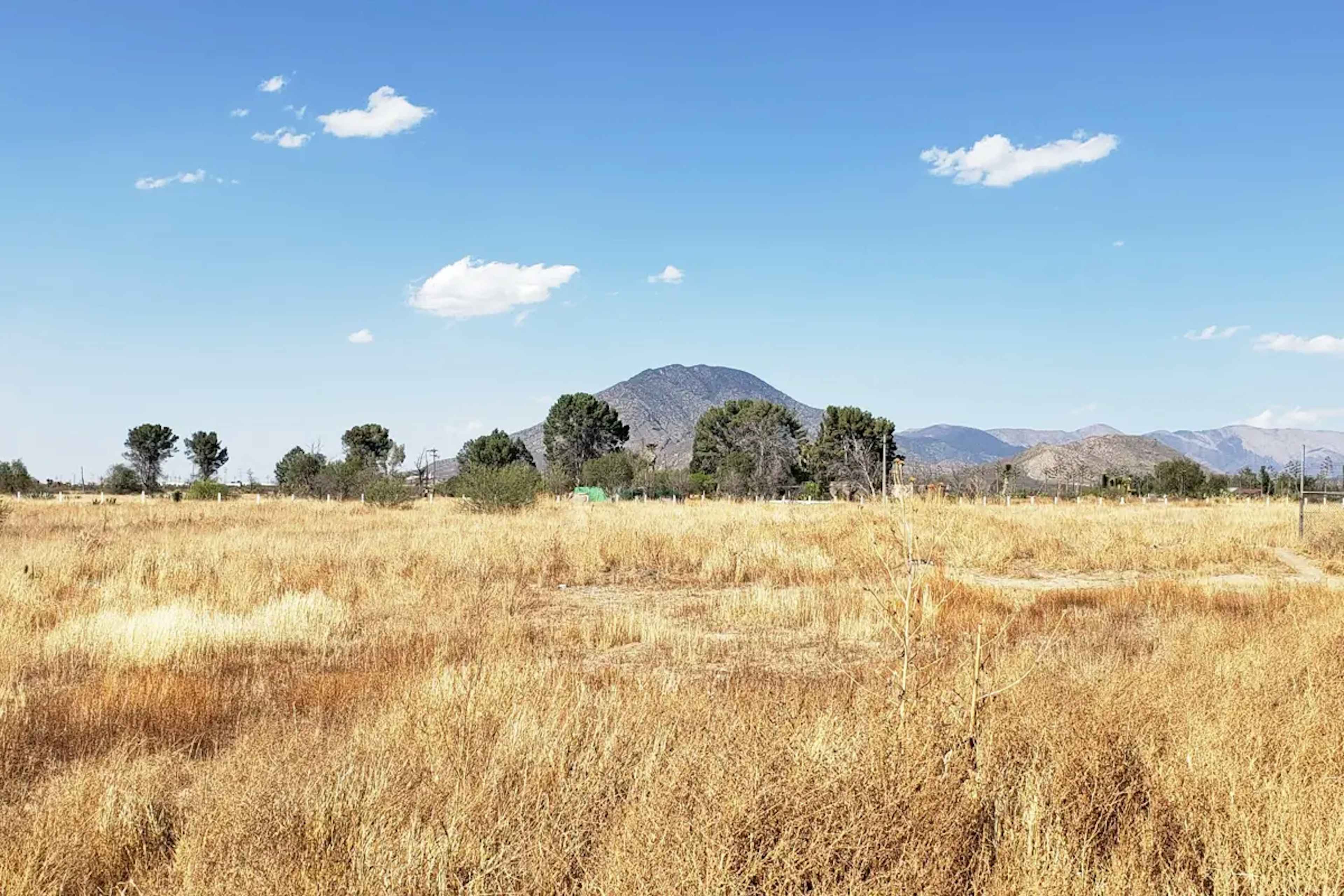 Terreno En Renta En Agua Nueva, Saltillo, Coahuila De Zaragoza