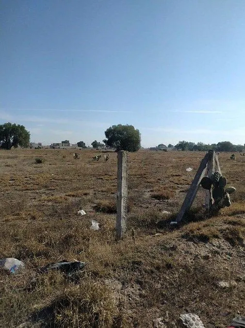 Terreno Spot2
