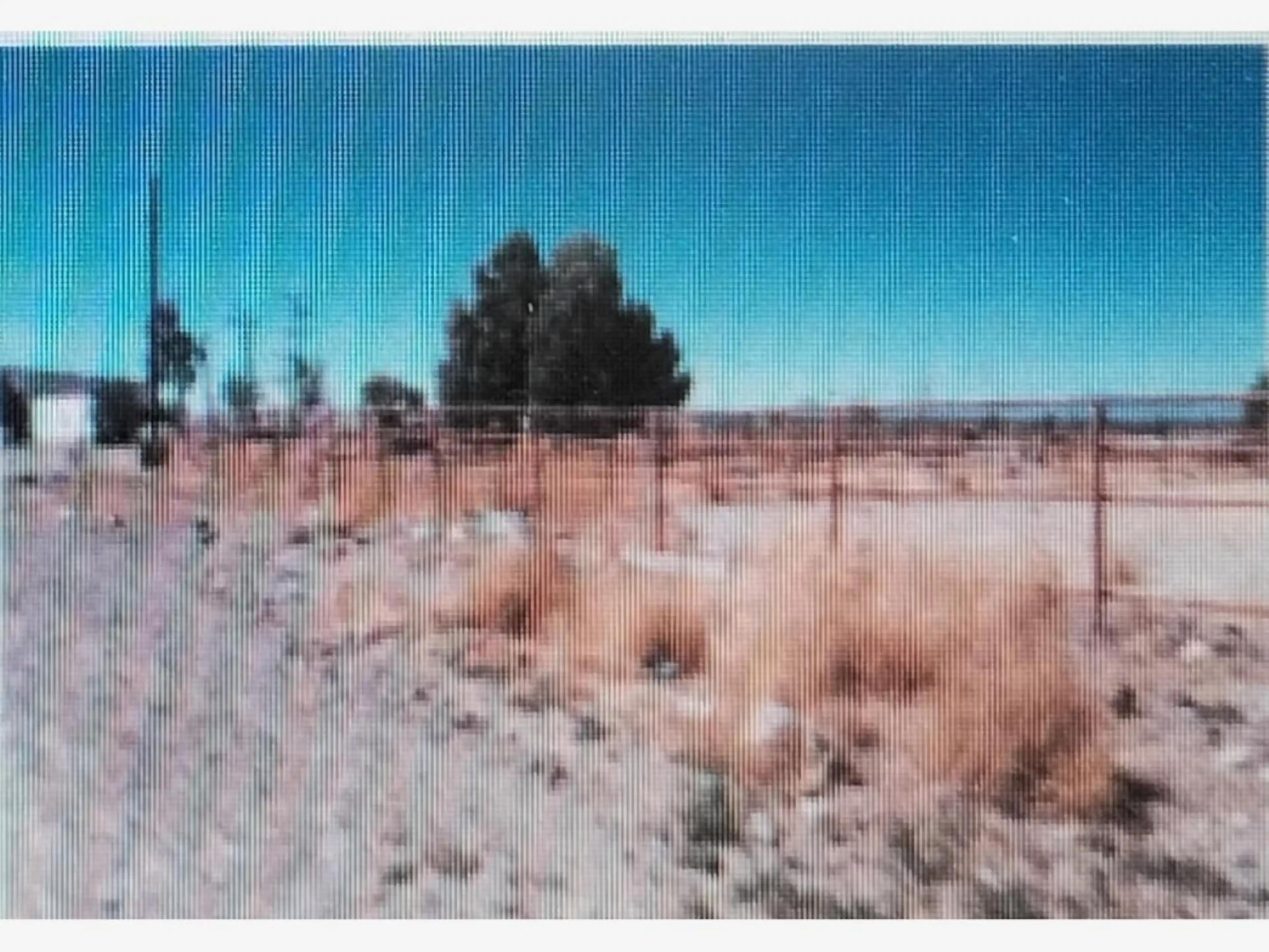 Terreno En Venta En Escalón, Jiménez, Chihuahua