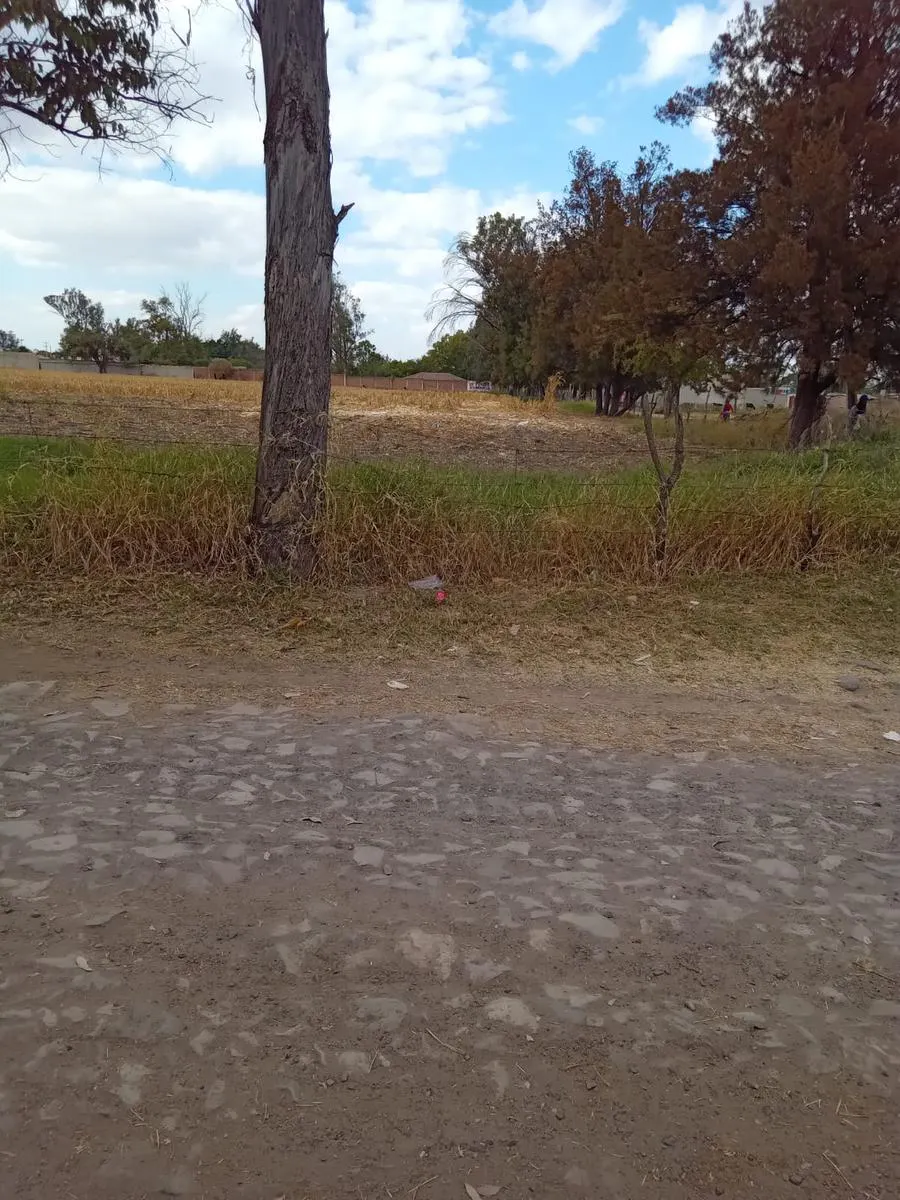 Terreno Spot2