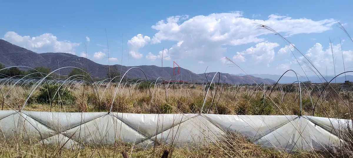 Terreno Spot2