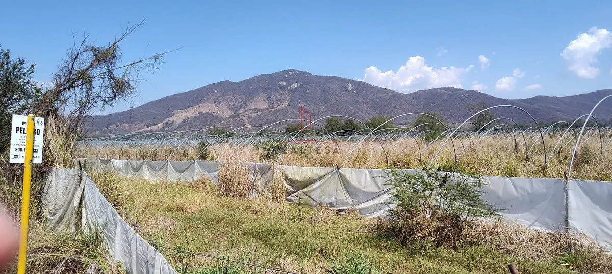 Terreno Spot2