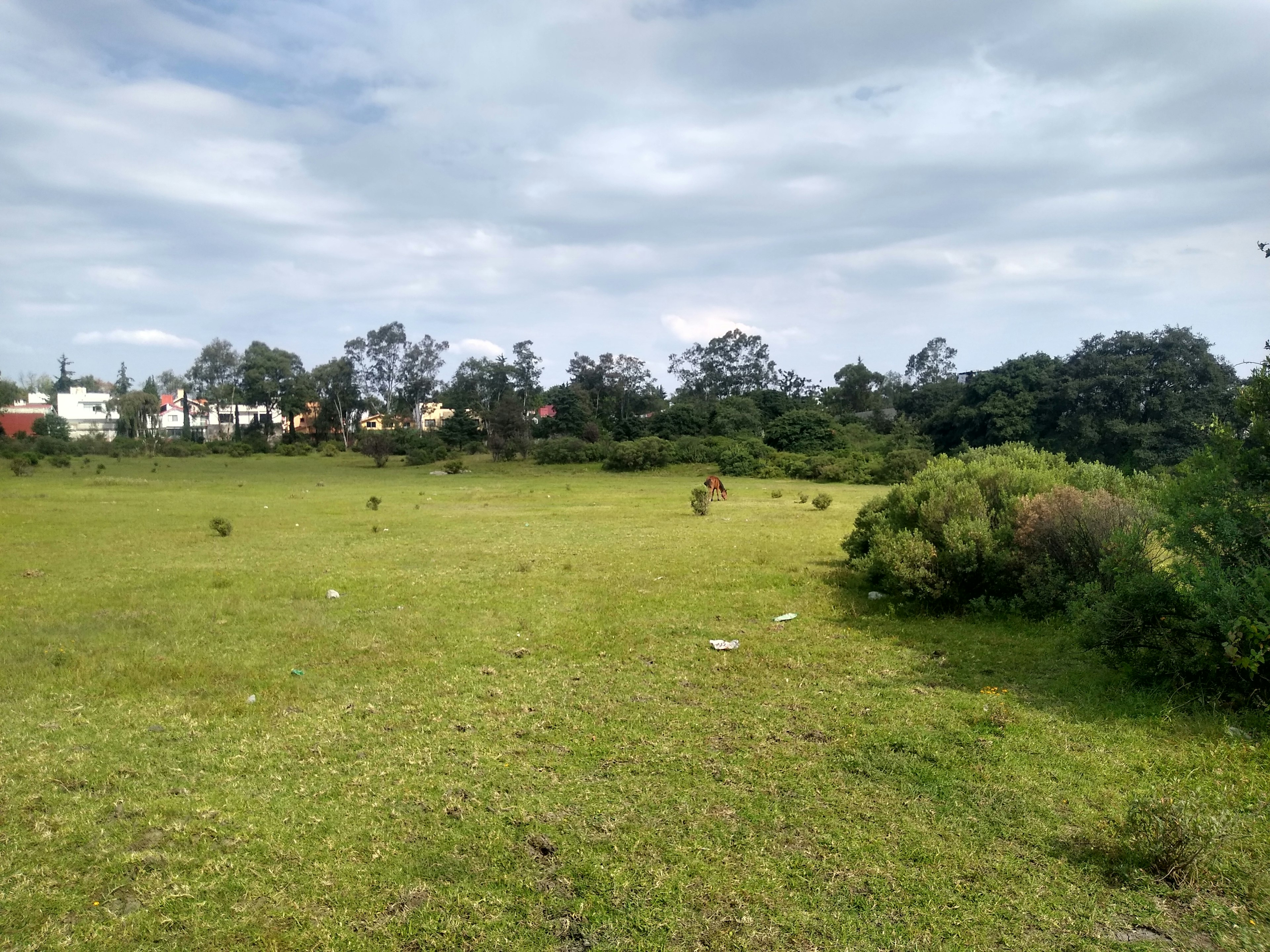 La imagen muestra un terreno amplio y verde, posiblemente un lote baldío en una zona suburbana. Al fondo se observan casas y árboles, sugiriendo un área residencial en desarrollo. El terreno parece tener potencial para construcción o desarrollo inmobiliario. El cielo nublado y la vegetación indican un clima templado. Este tipo de propiedad podría ser atractiva para inversores o desarrolladores buscando expandir áreas residenciales.