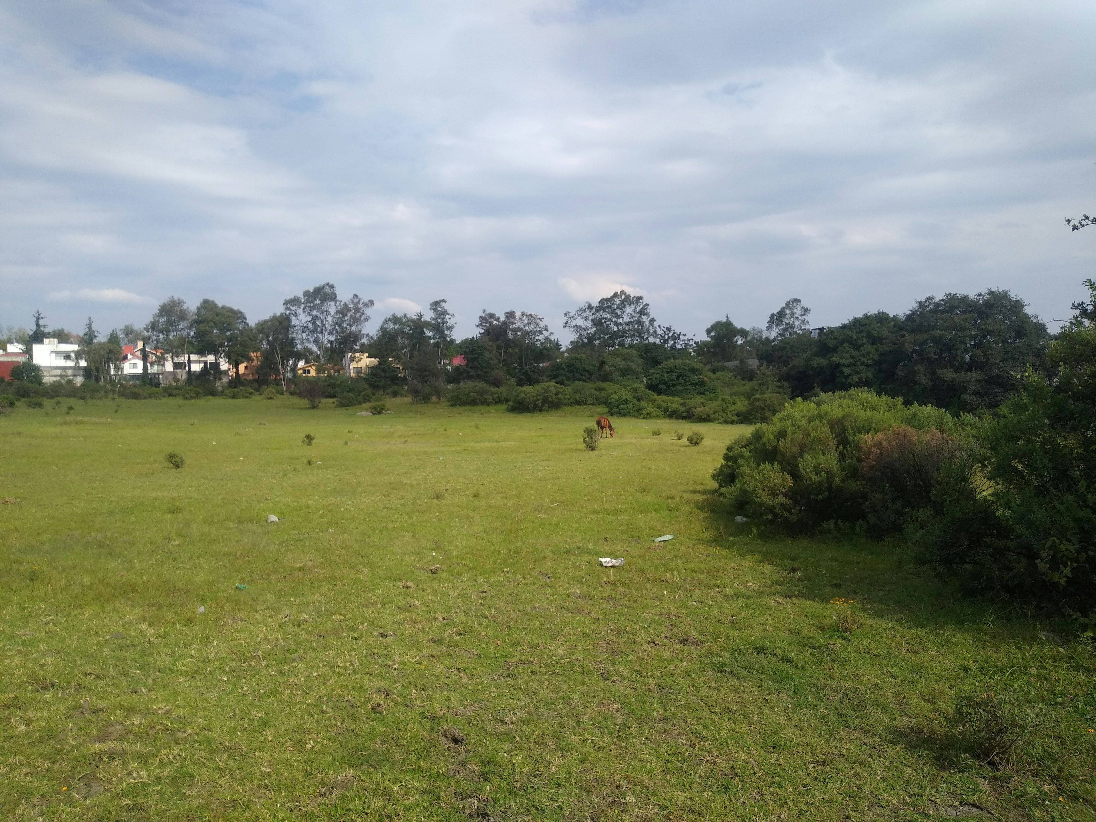 La imagen muestra un amplio terreno verde sin desarrollar en una zona suburbana. En el fondo se observan casas y edificaciones, lo que sugiere que esta área podría tener potencial para desarrollo inmobiliario. El terreno es plano y cuenta con vegetación dispersa, ideal para futuros proyectos residenciales o comerciales. La ubicación parece ser tranquila y cercana a zonas ya urbanizadas, lo que podría aumentar su valor para inversores inmobiliarios.