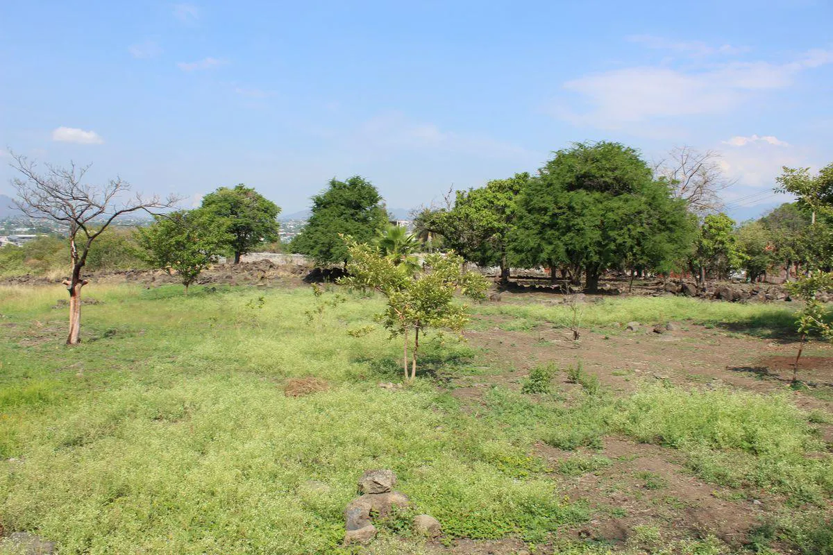 Terreno Spot2