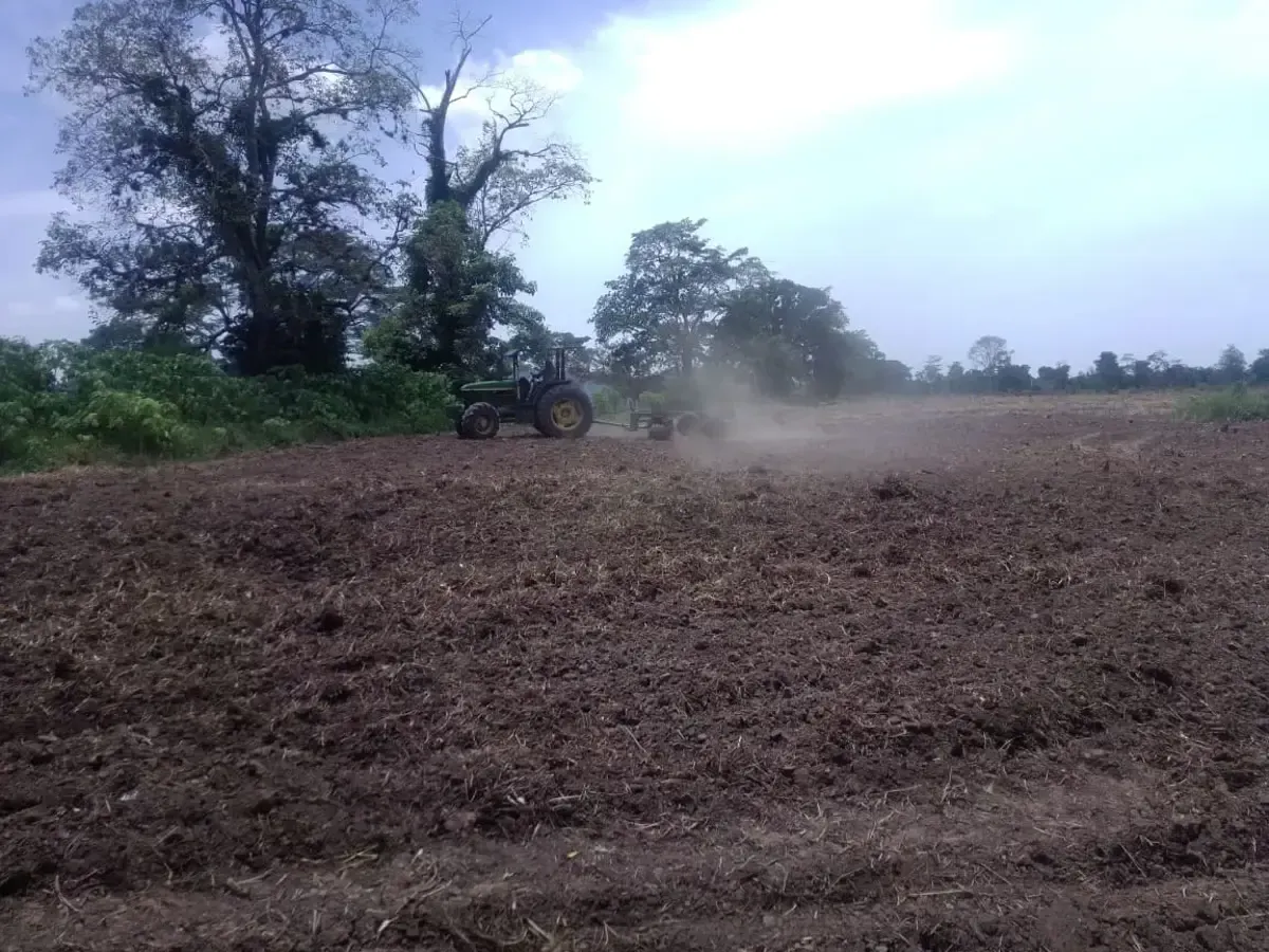 Terreno Spot2