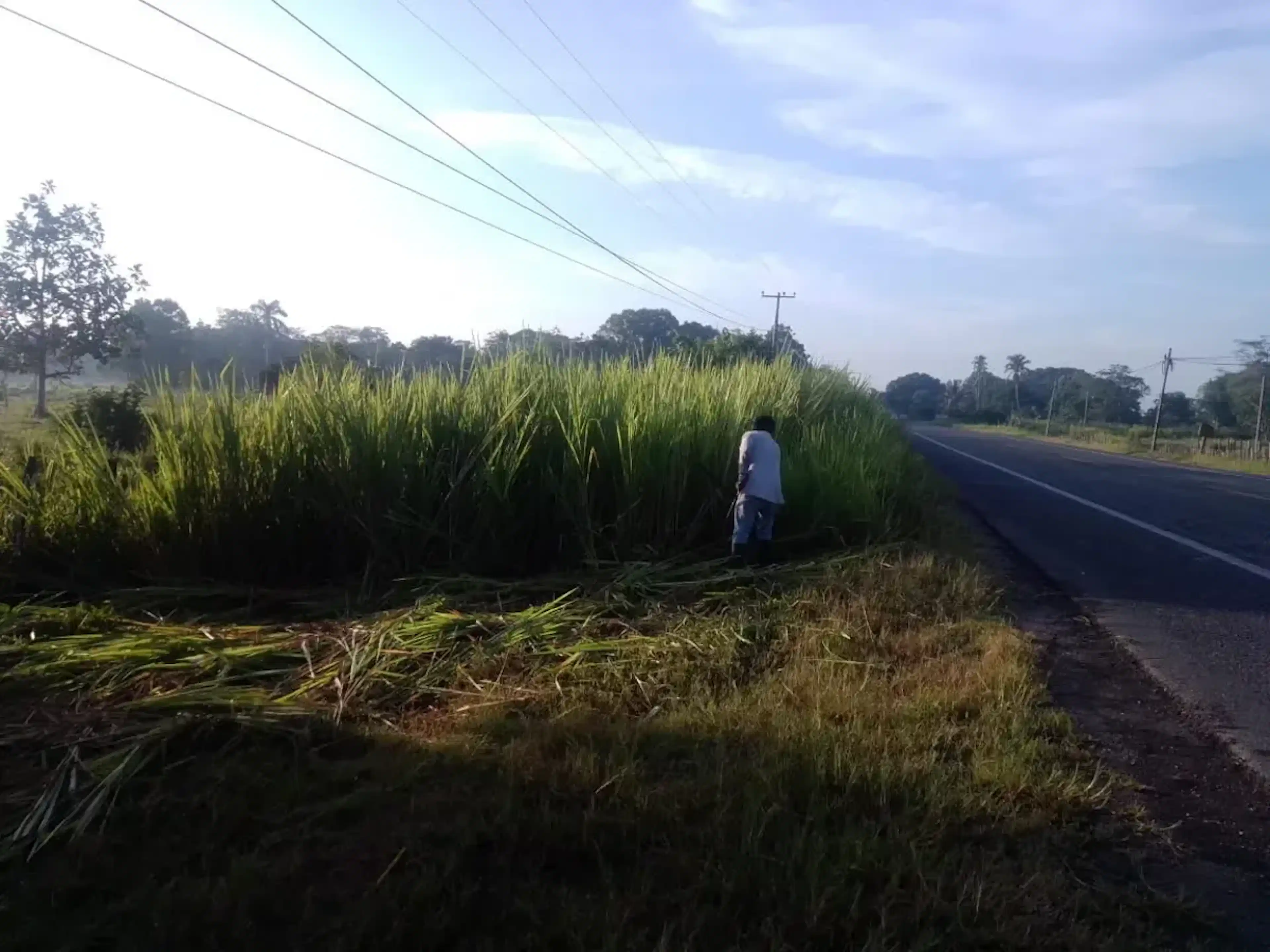Terreno En Venta En Santa Maria Periferico, Cárdenas, Tabasco