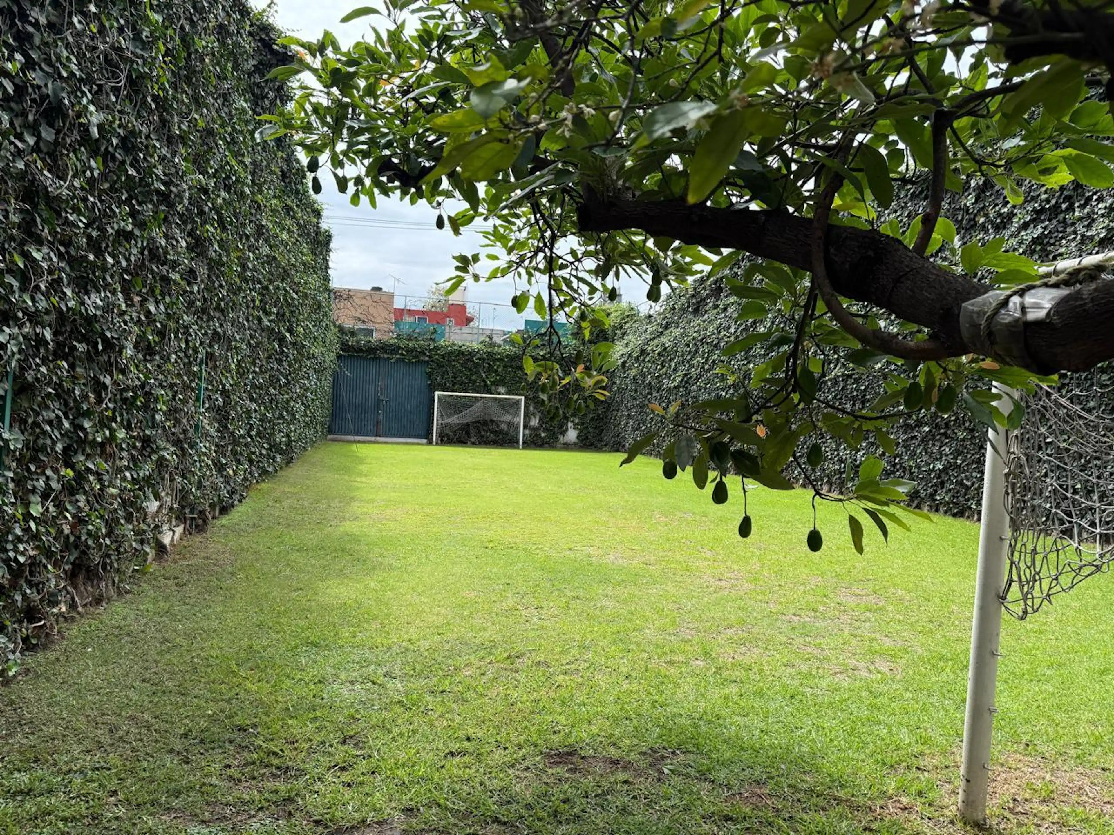 Venta de Terreno con Gran Potencial en colonia Banjidal