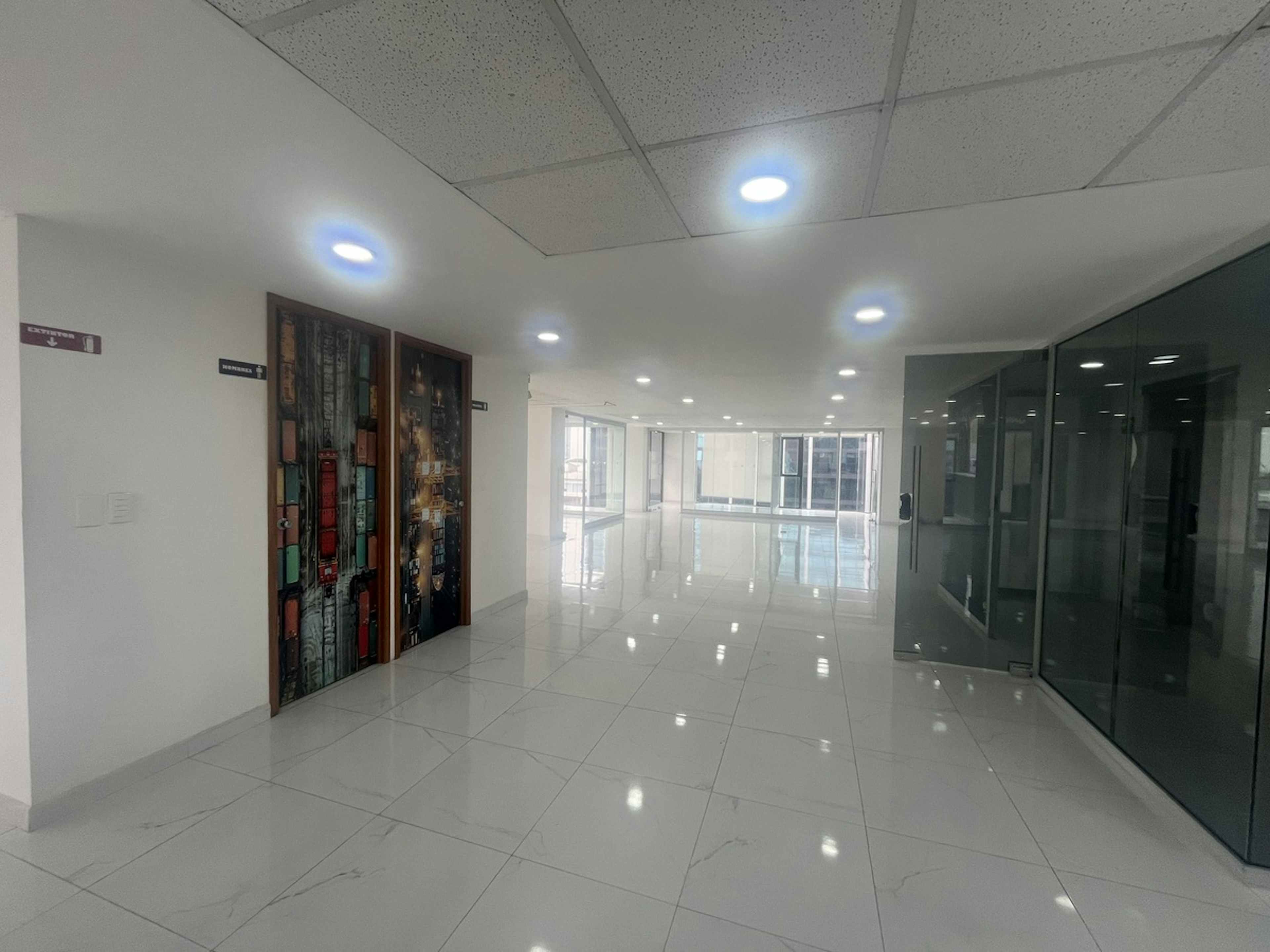 Avenida Insurgentes Sur