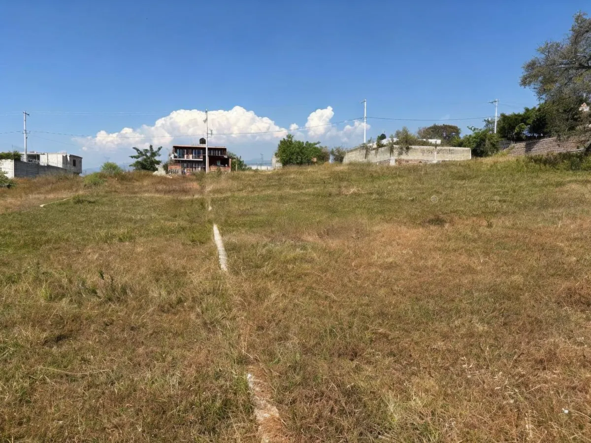 Terreno Spot2