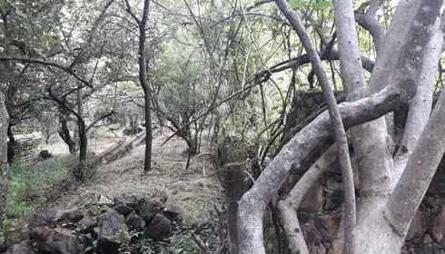 Terreno Spot2