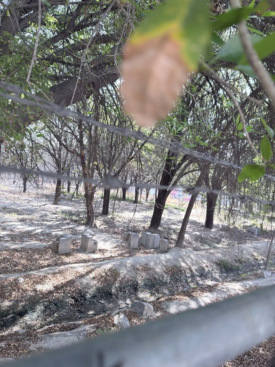 Terreno Spot2