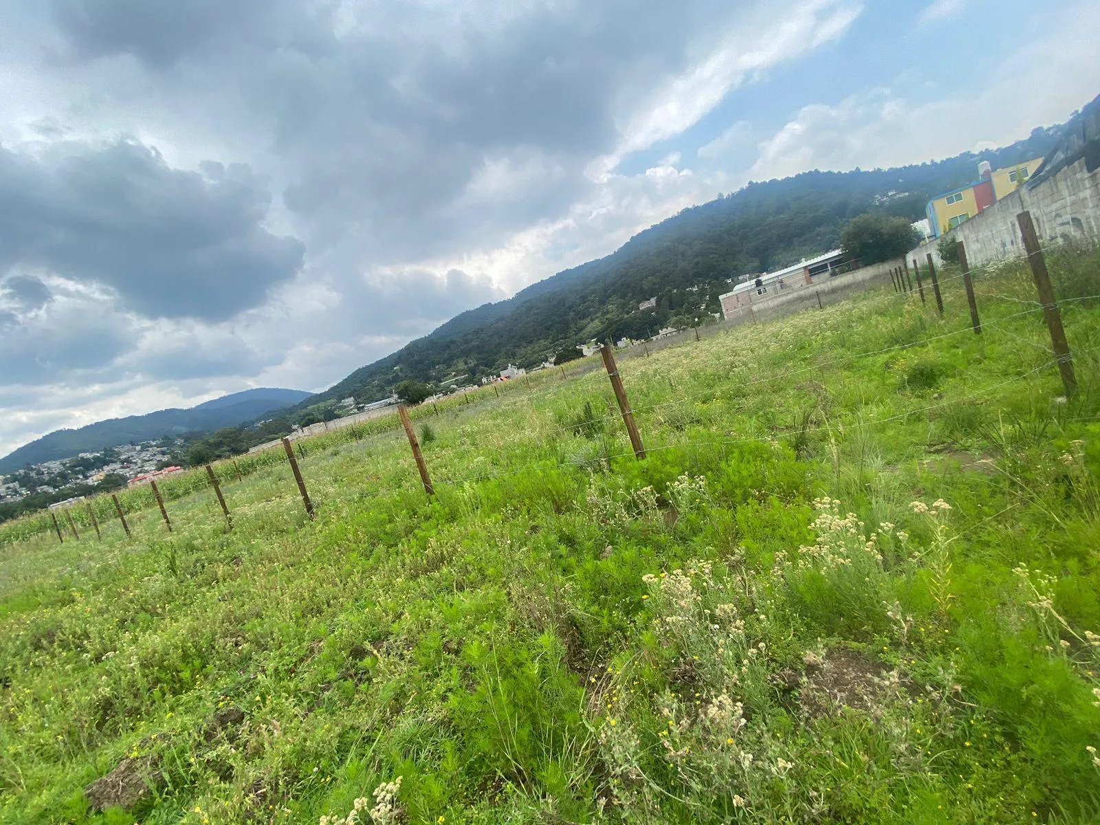 Terreno Spot2