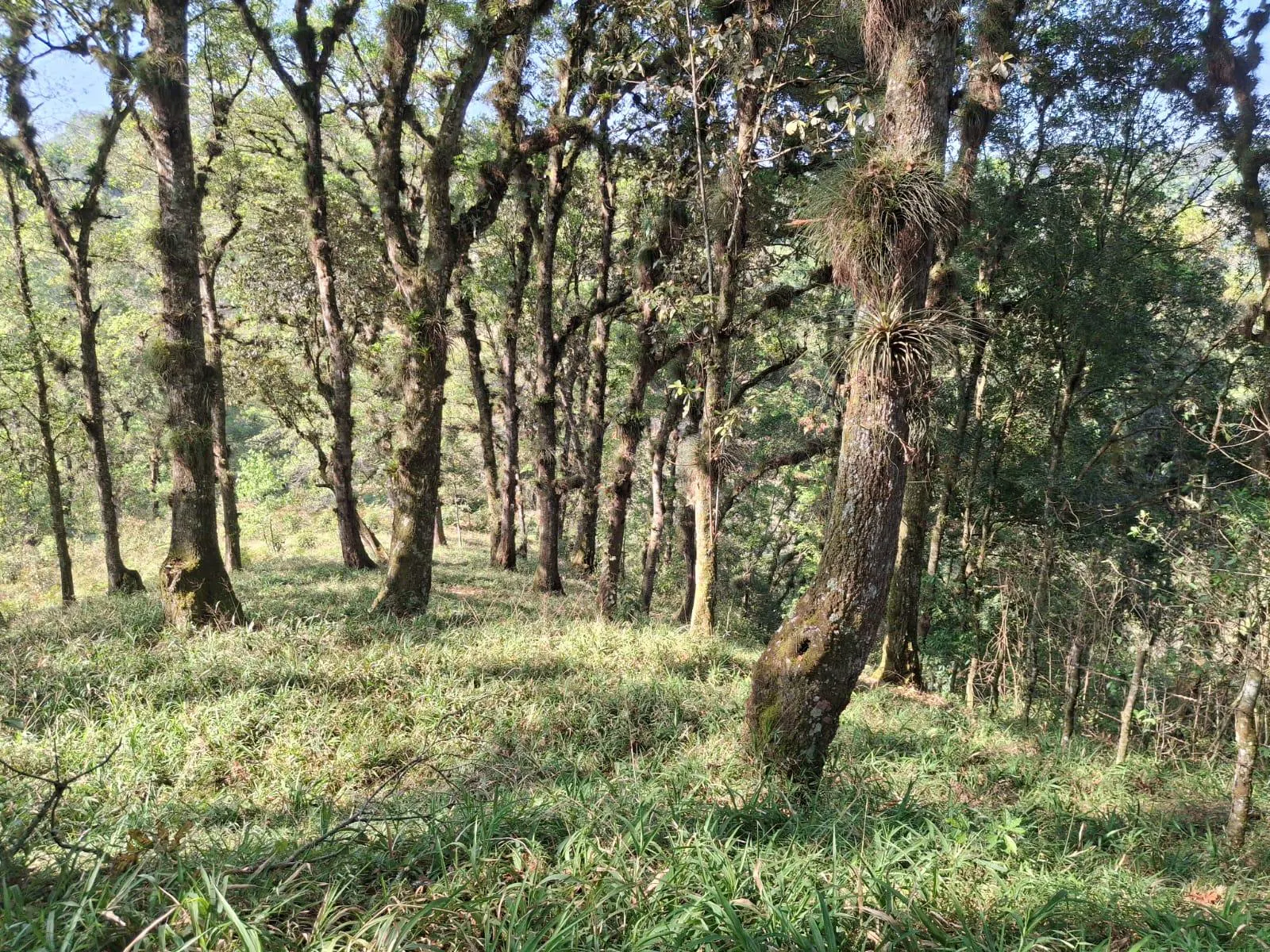 Terreno Spot2