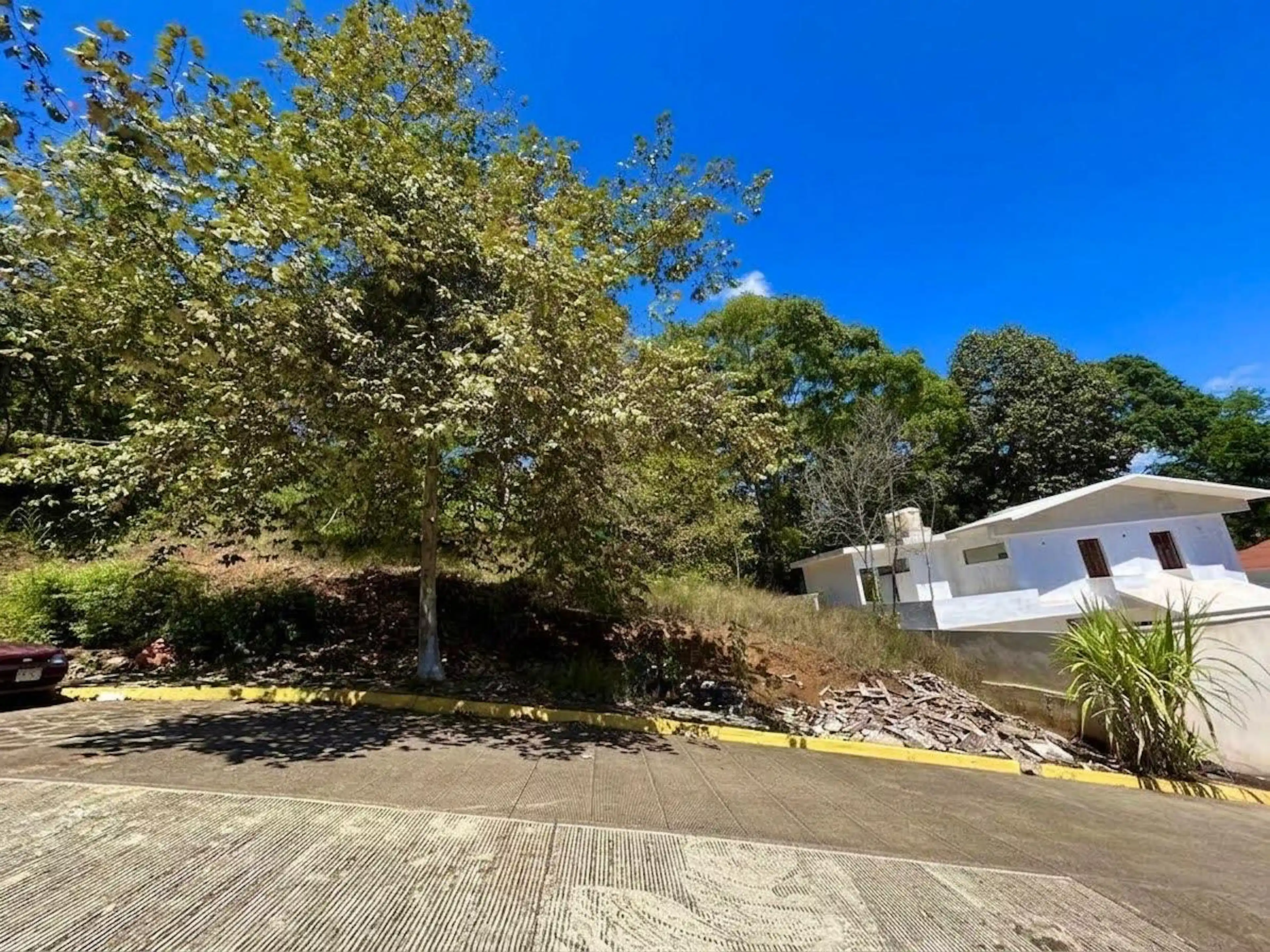 Terreno En Zona Murillo Vidal