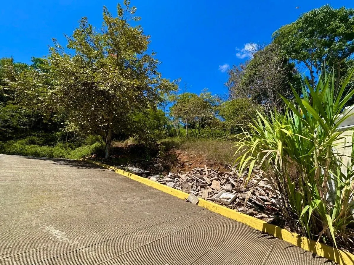 Terreno Spot2