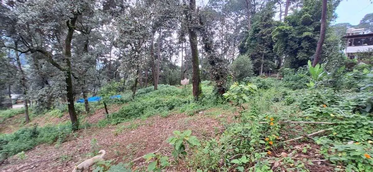 Terreno Spot2