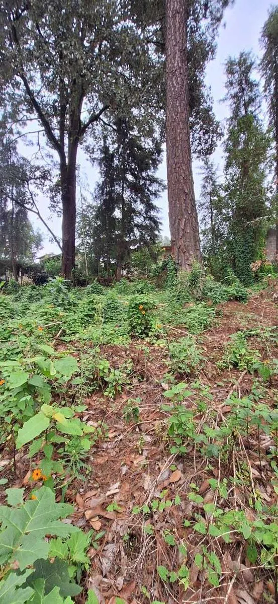 Terreno Spot2