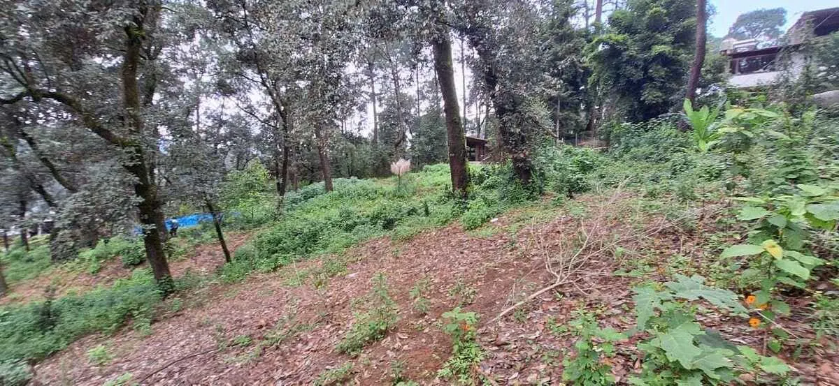 Terreno Spot2