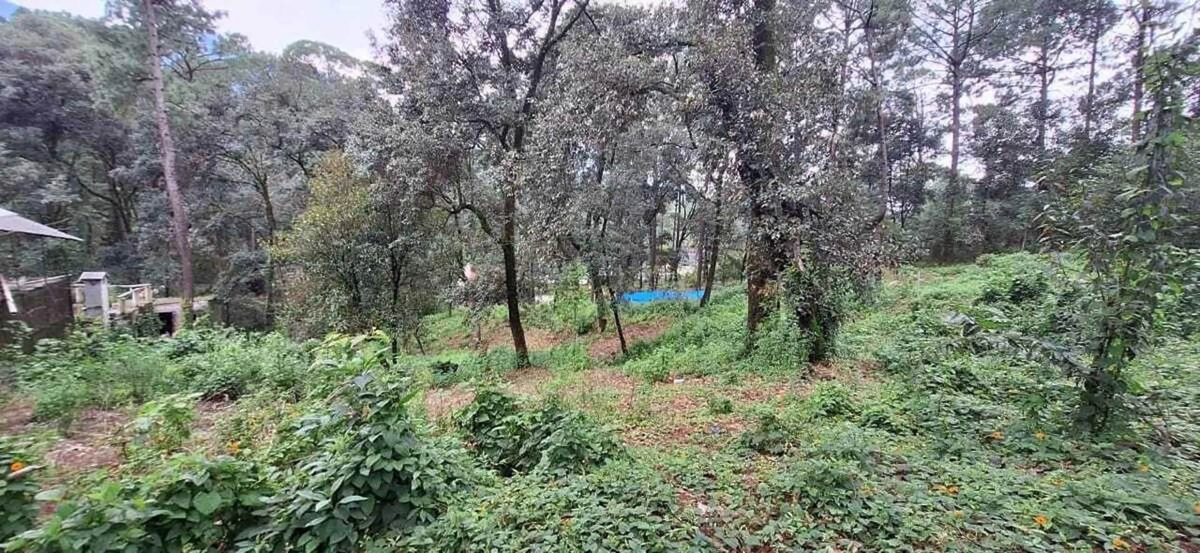 Terreno en Casas Viejas con Pendiente.
