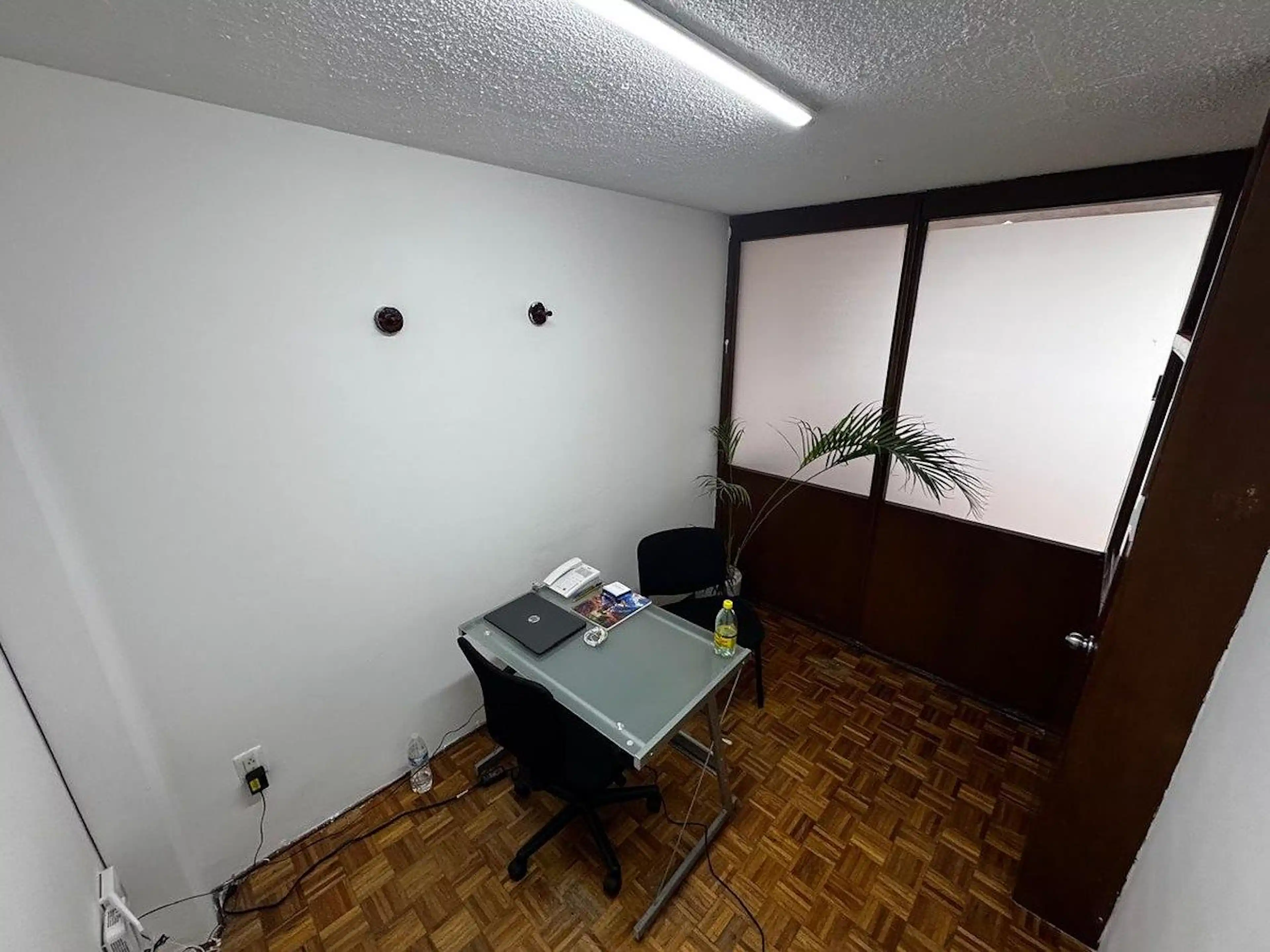Avenida Insurgentes Sur