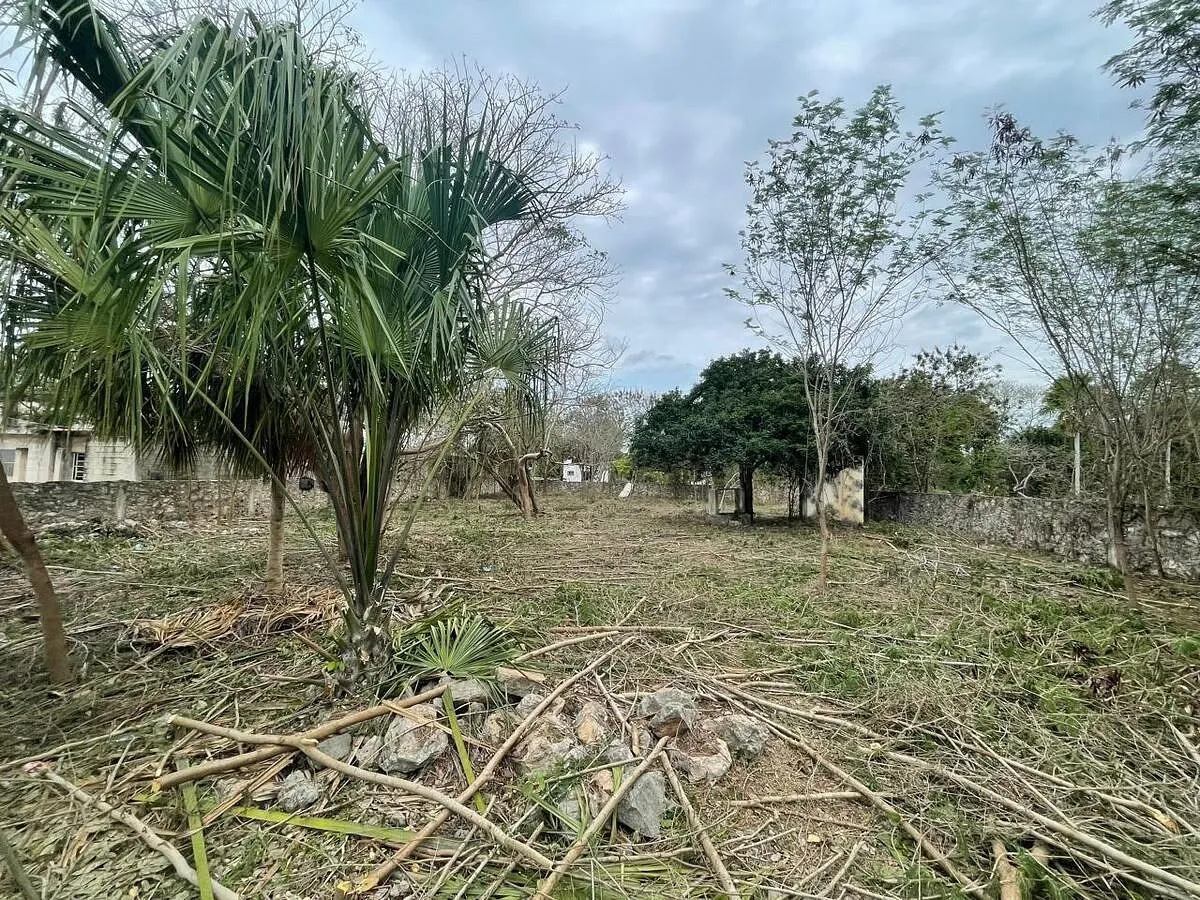 Terreno Spot2