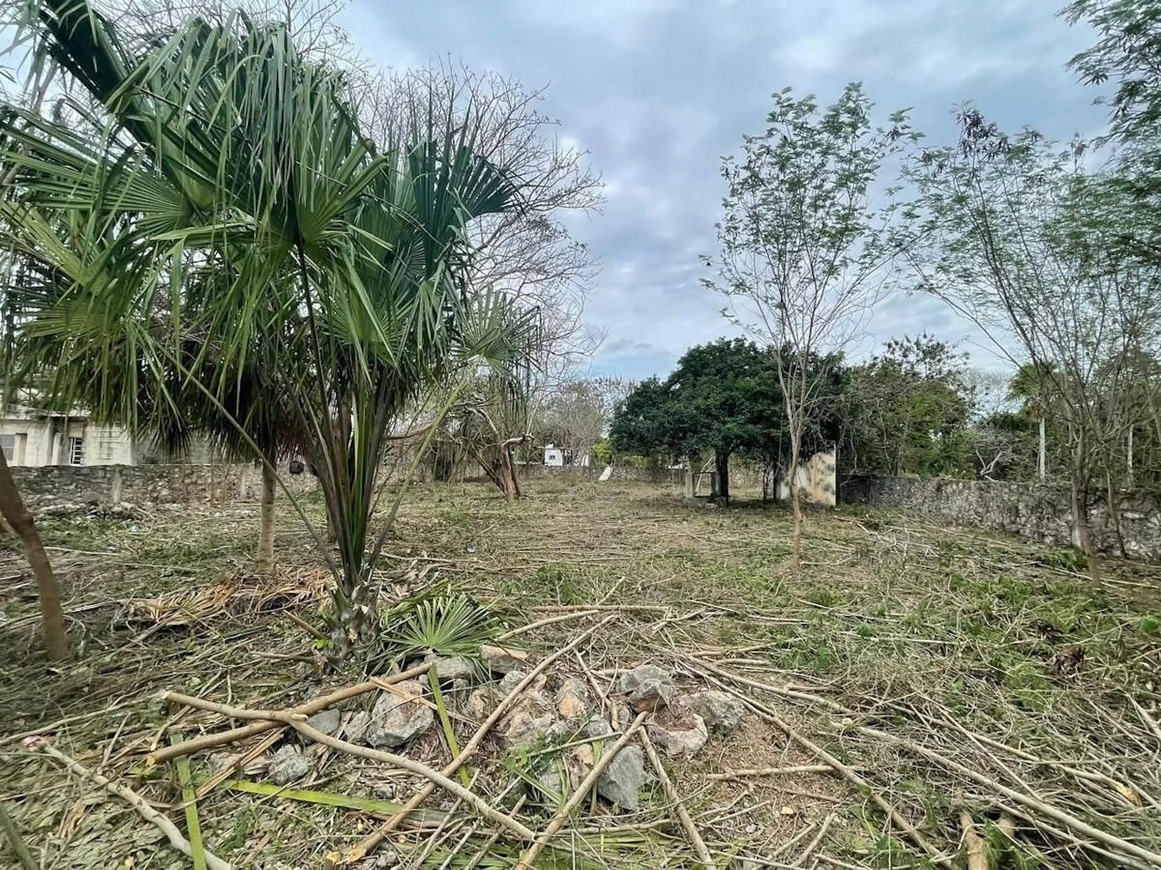 Terreno De 1500 M2 En Venta En Komchén
