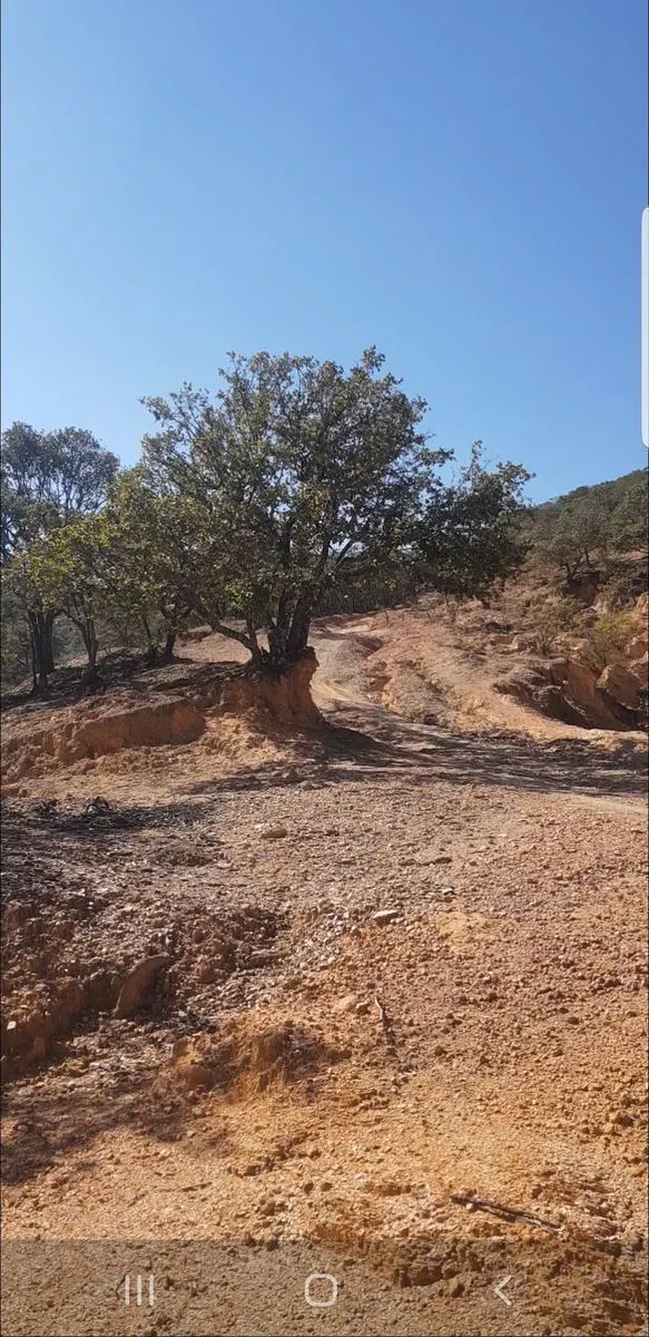 Terreno Spot2